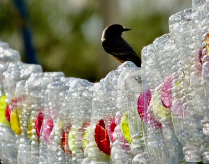 When Refuse Becomes Renewal
