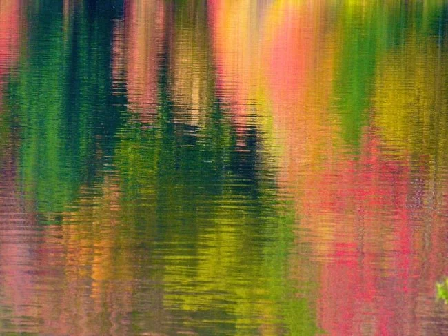 Grant Us Serenity