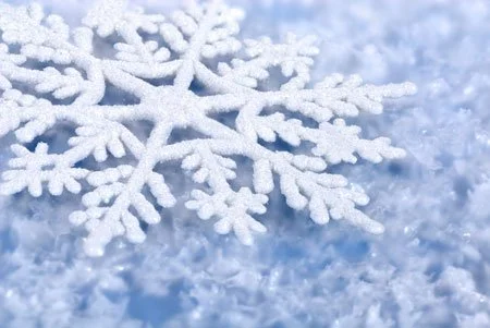 God’s Grace in Seniors & Snowflakes