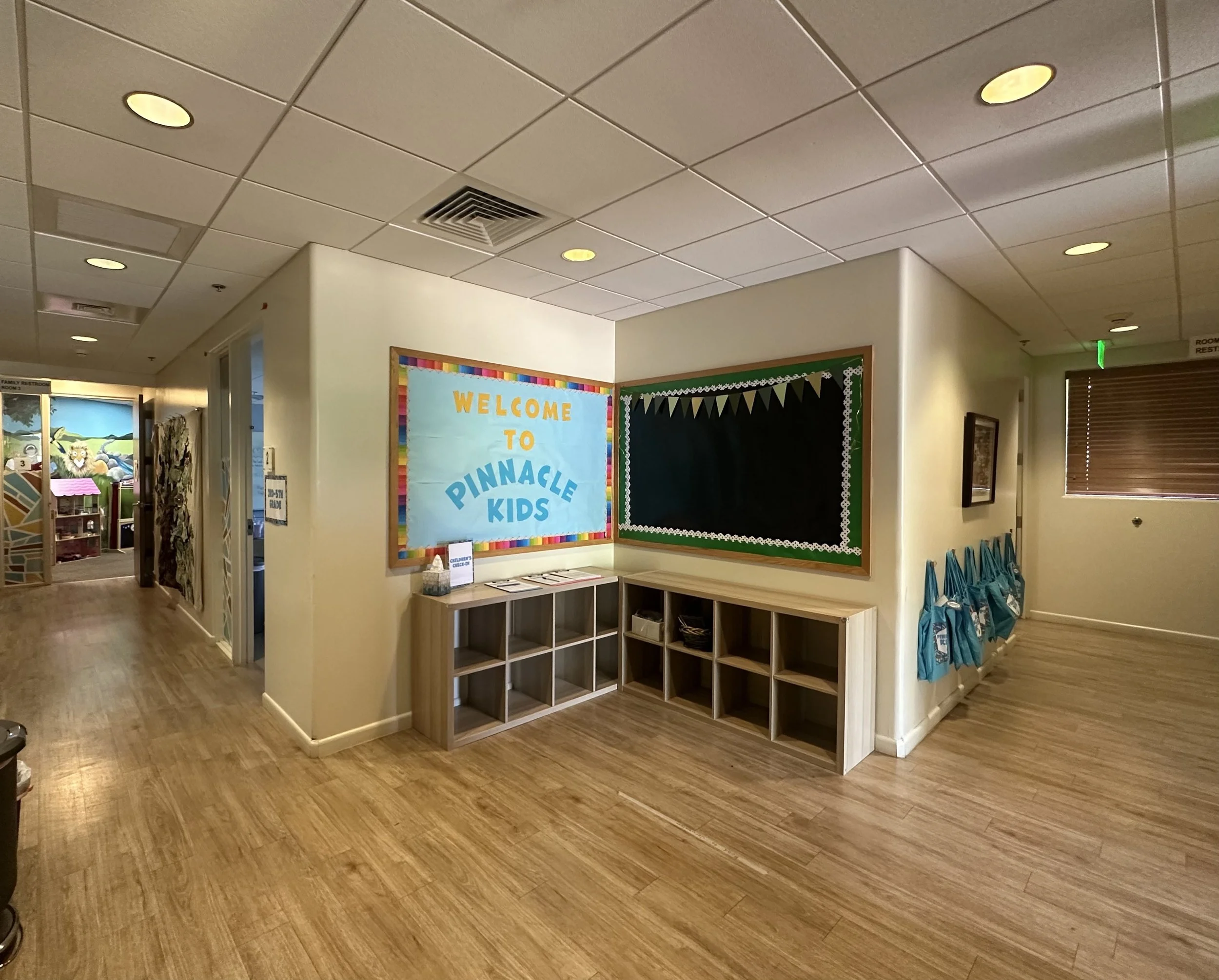 Mandatory Pinnacle Kids Volunteer Training