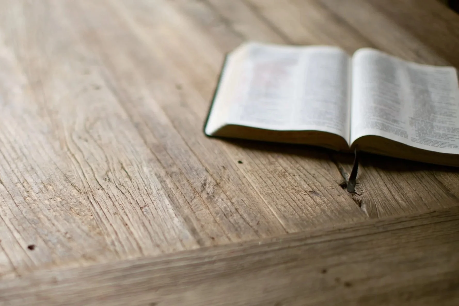 Reading Plan for Jan. 8 - 14