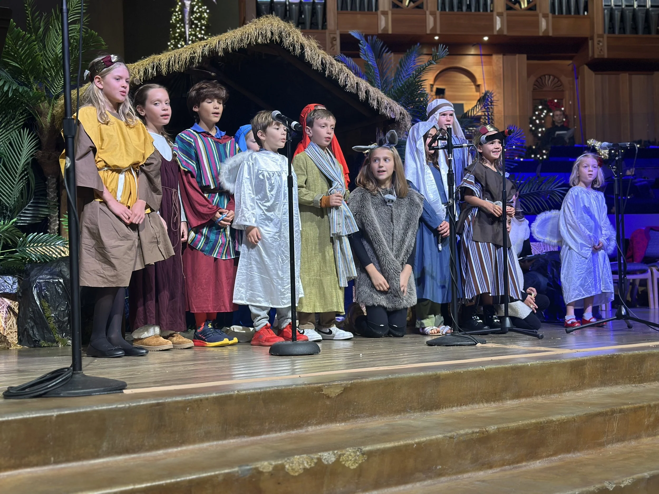 The Christmas Season