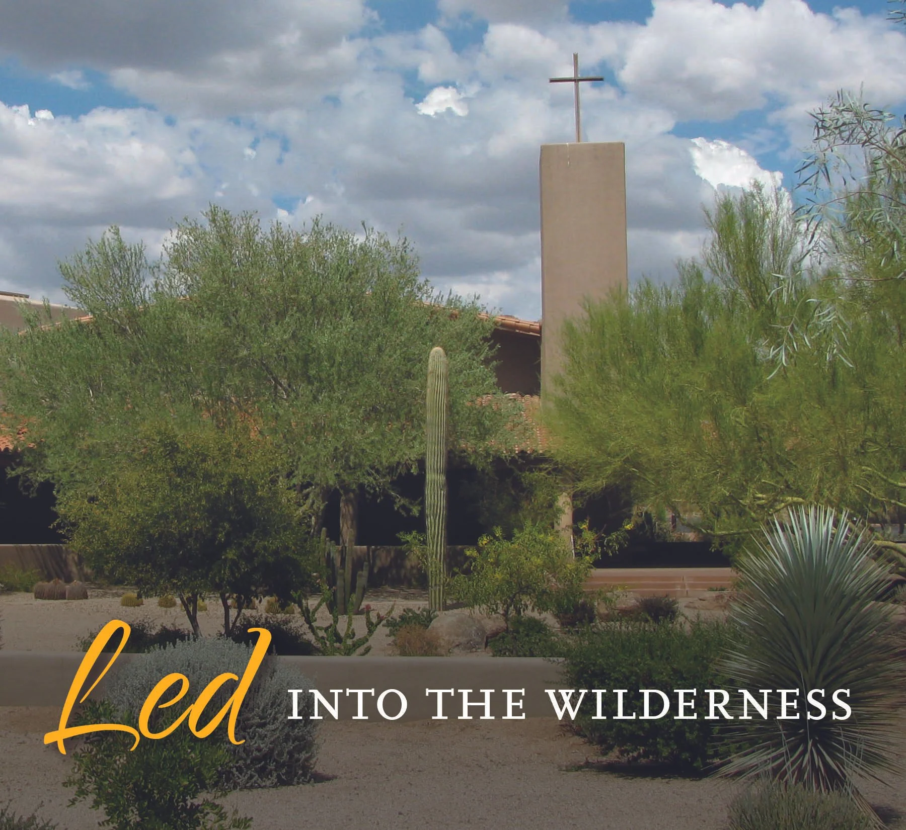 Led Into the Wilderness