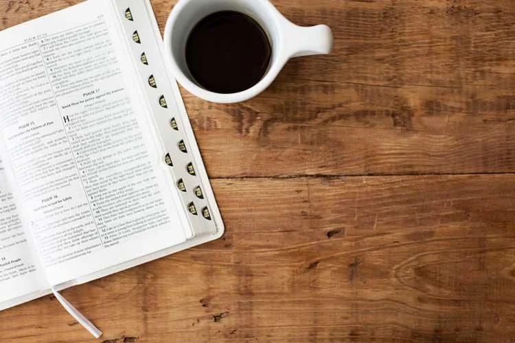 Why is "This" in the Bible?