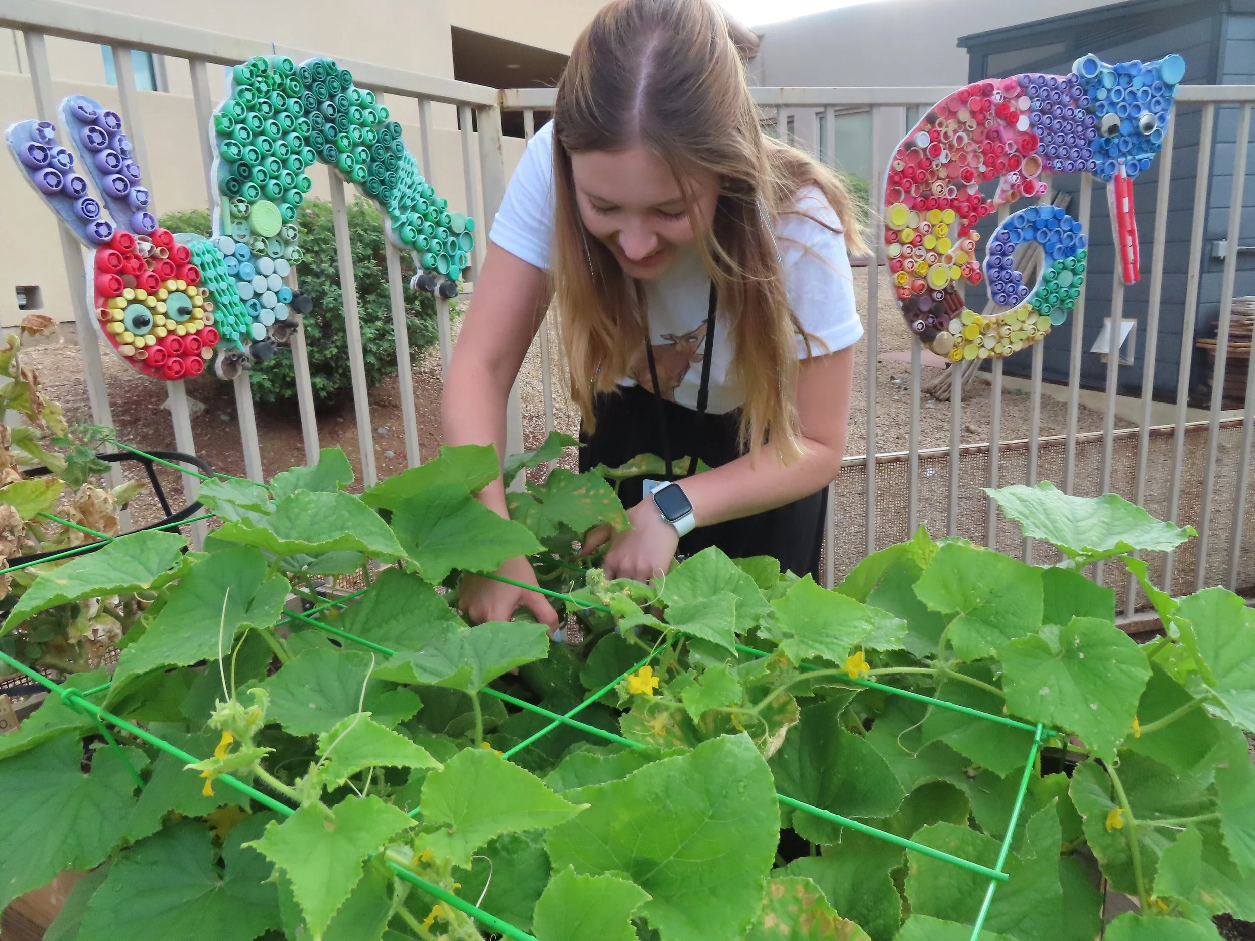 Growing in the Kinder-Garden