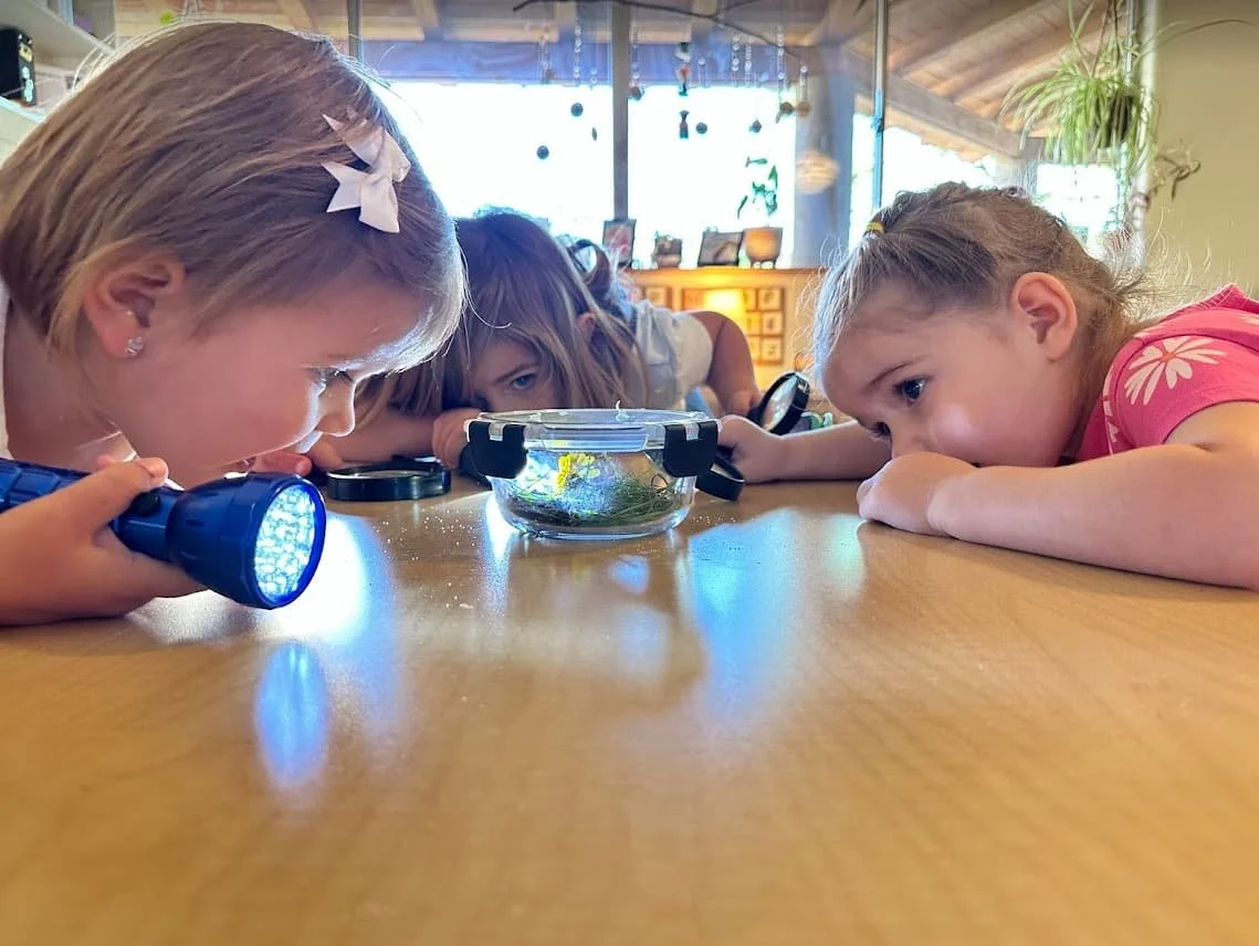 Pinnacle Presbyterian Preschool