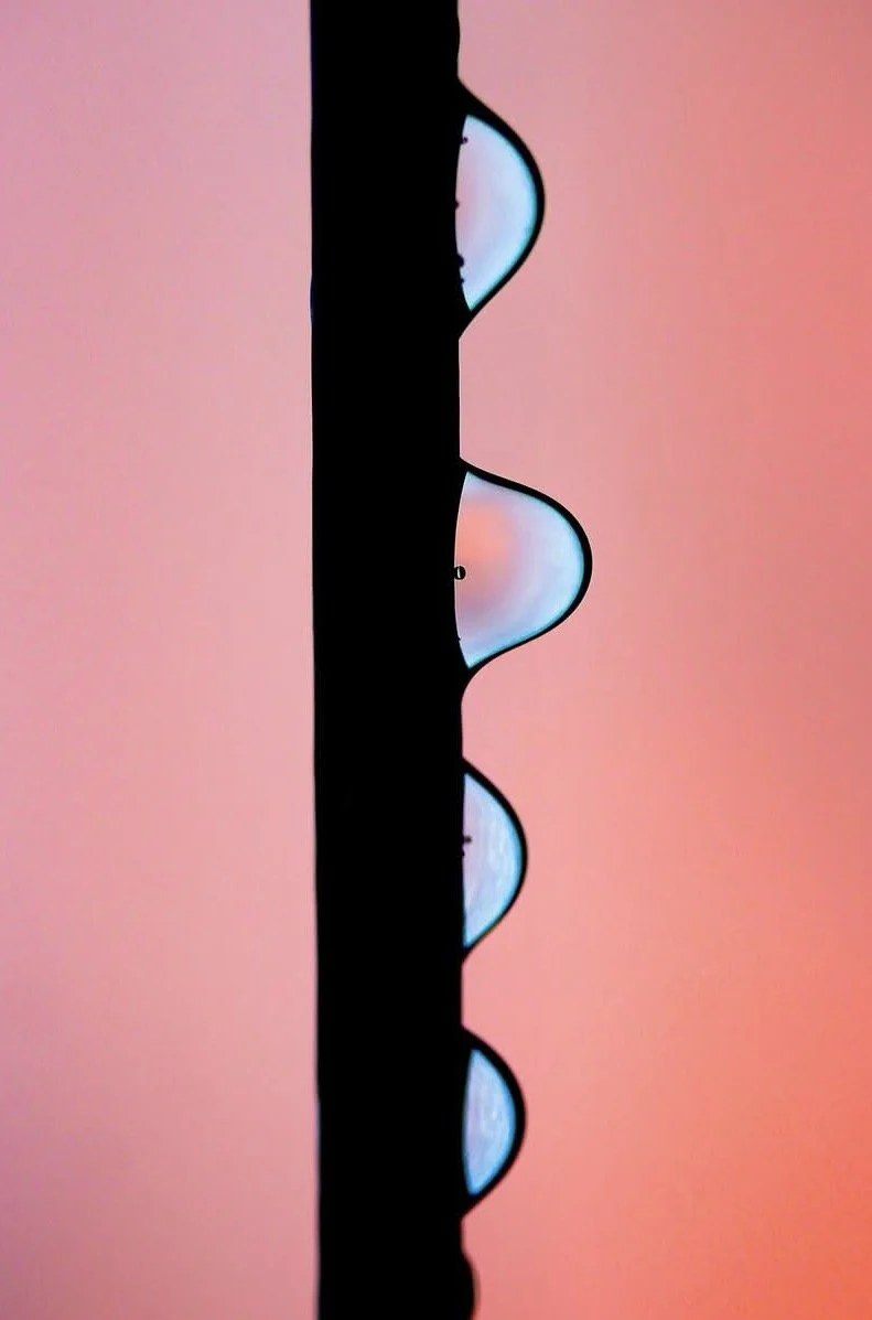 78F978CA-C704-4374-96E0-07EFDDA222B7.jpeg