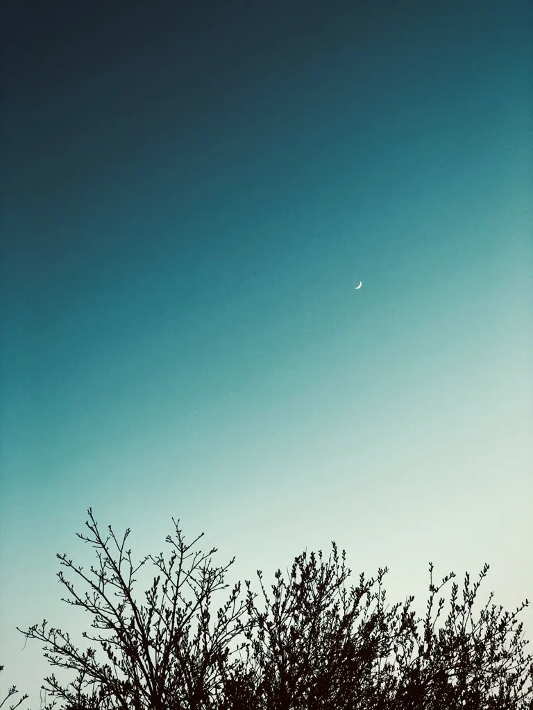Gradient