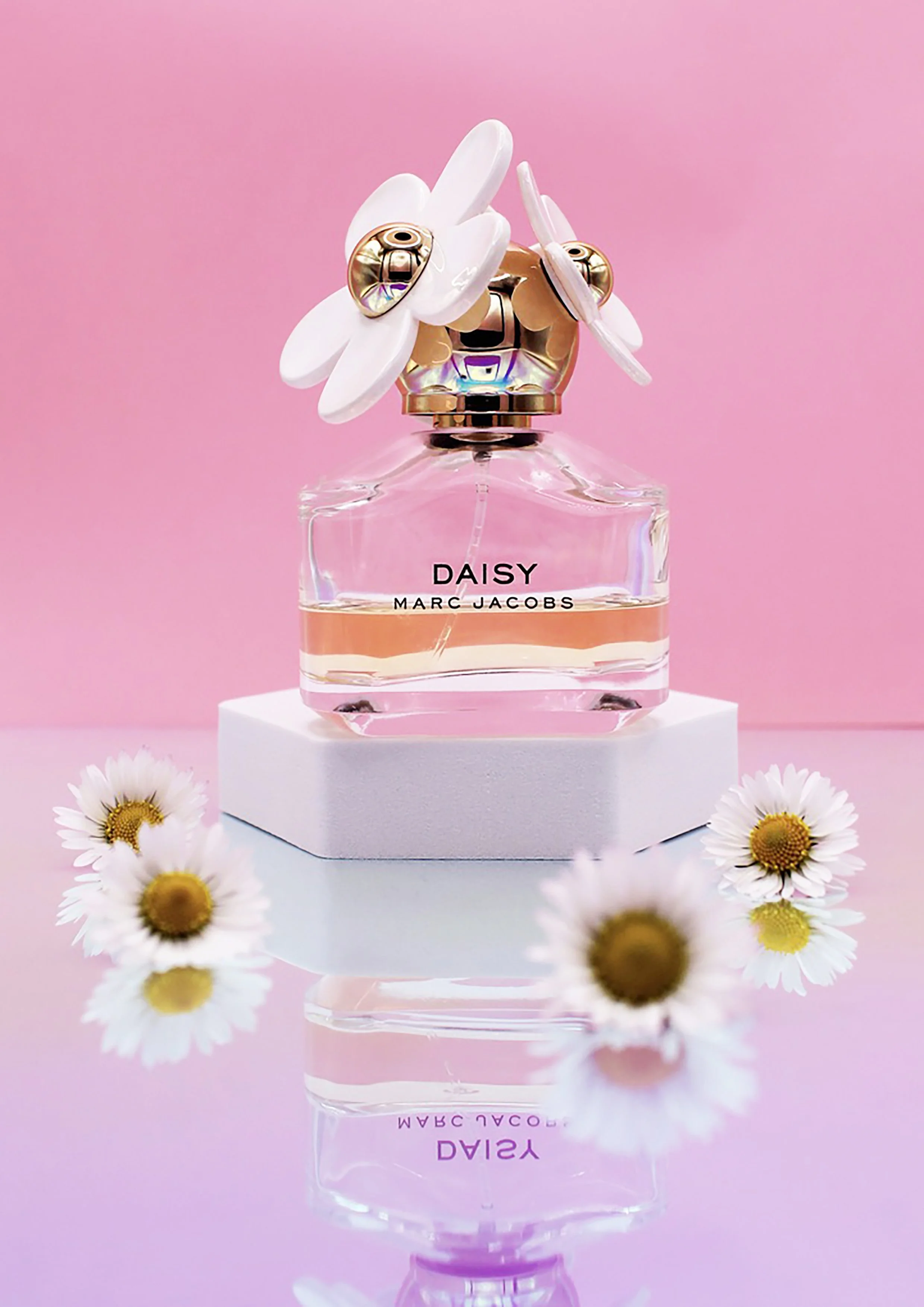 Daisy A4.jpg