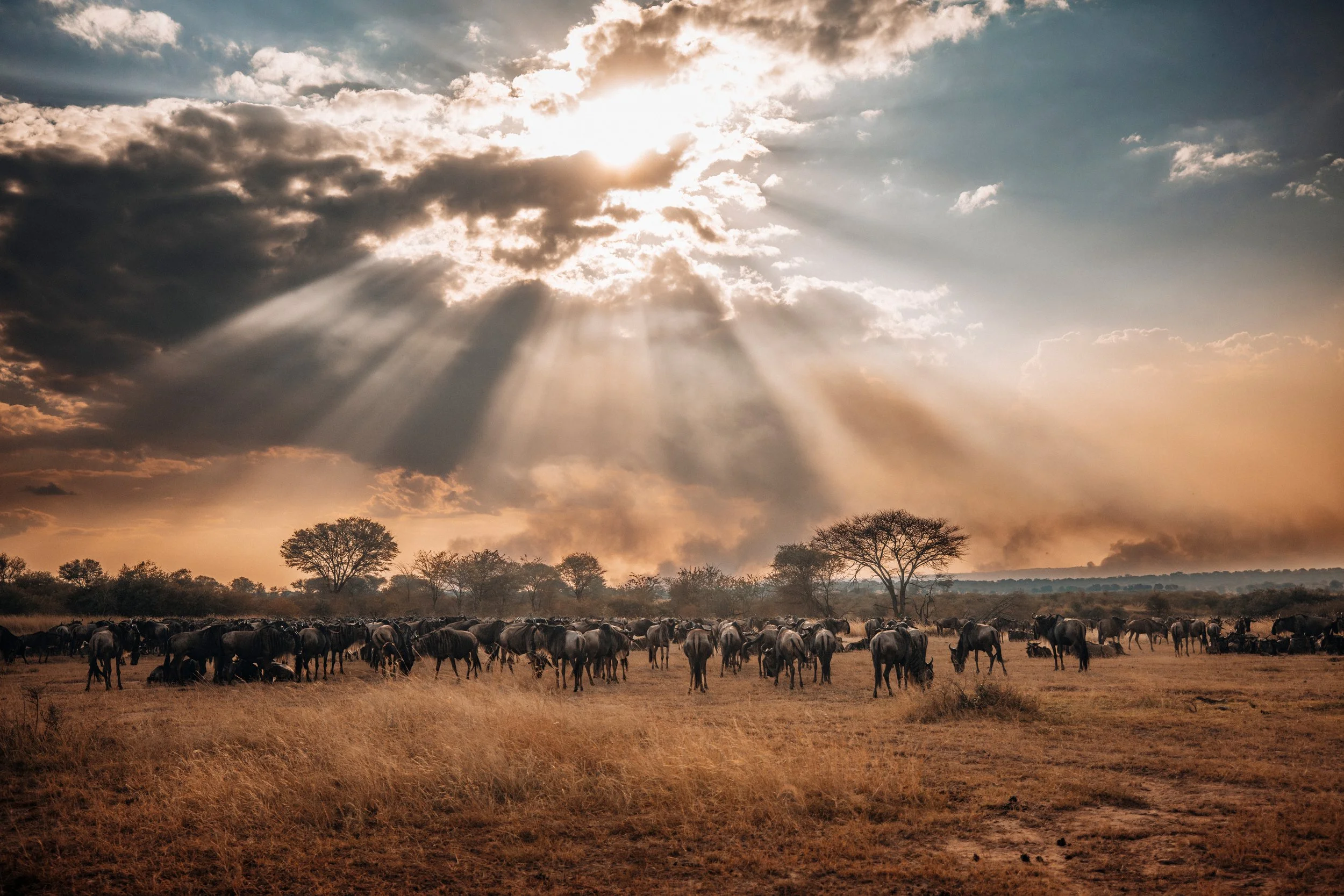 Tanzania 26-221.jpg