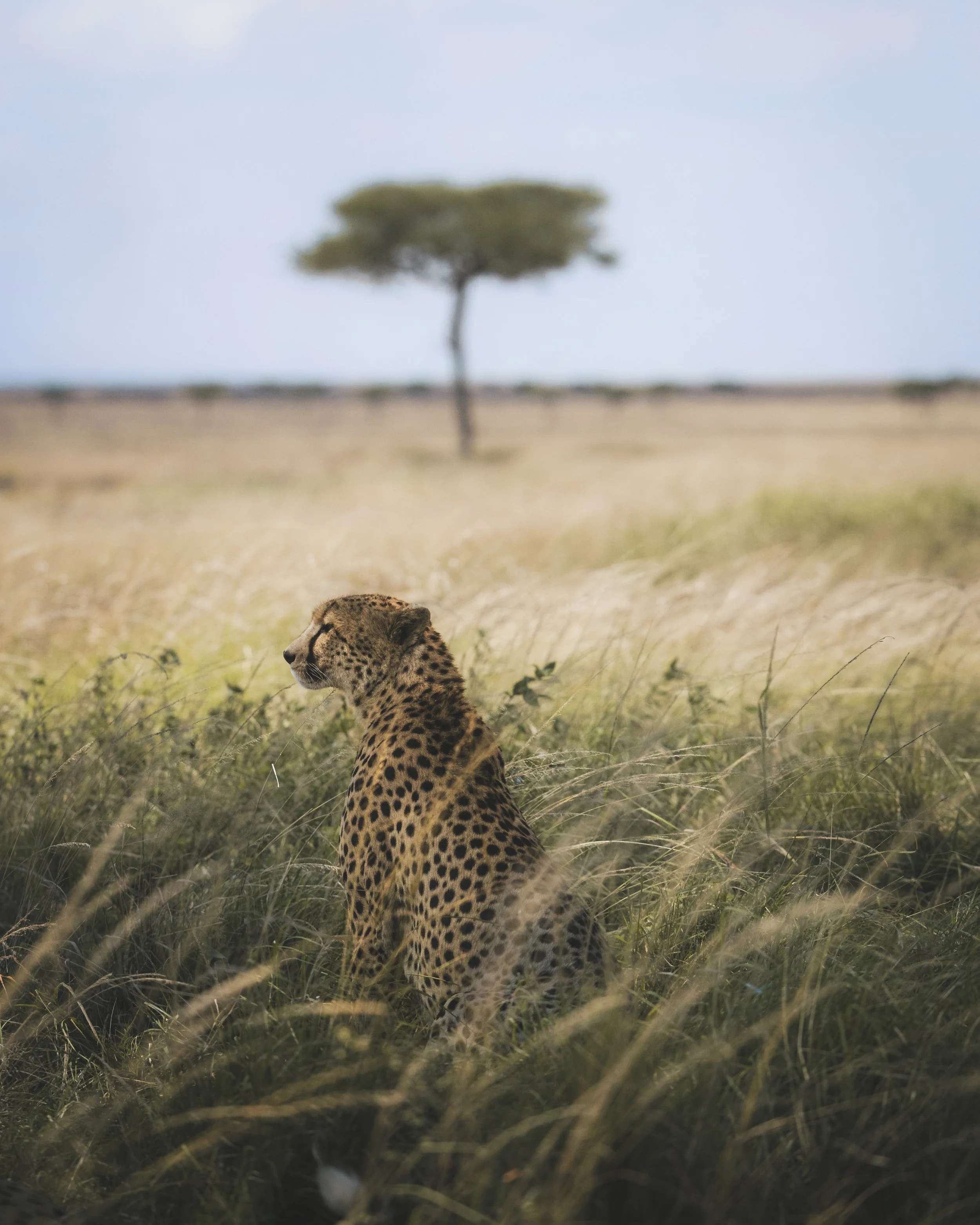 Tanzania 26-190.jpg