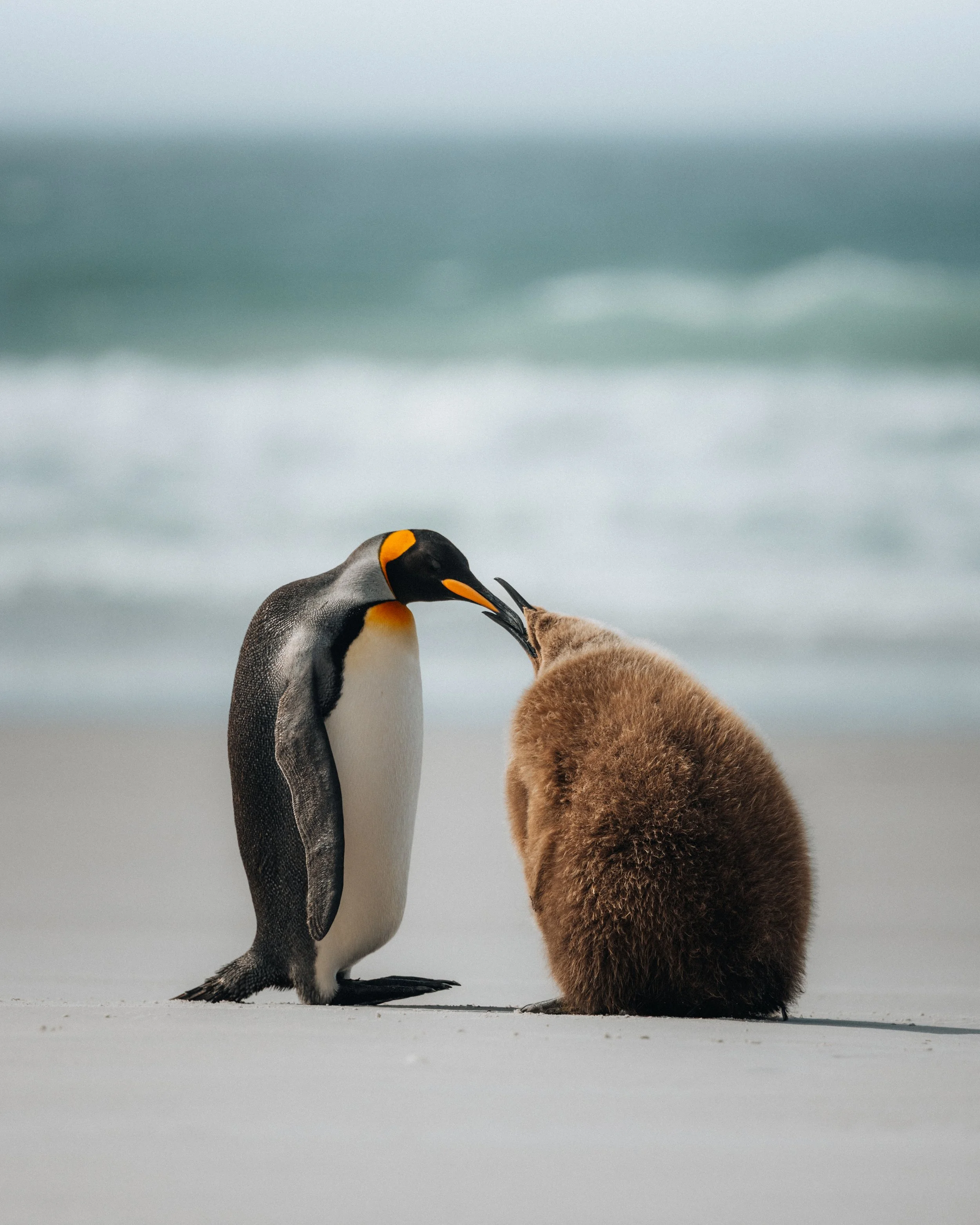 Nat Geo expedition 2025-39.jpg