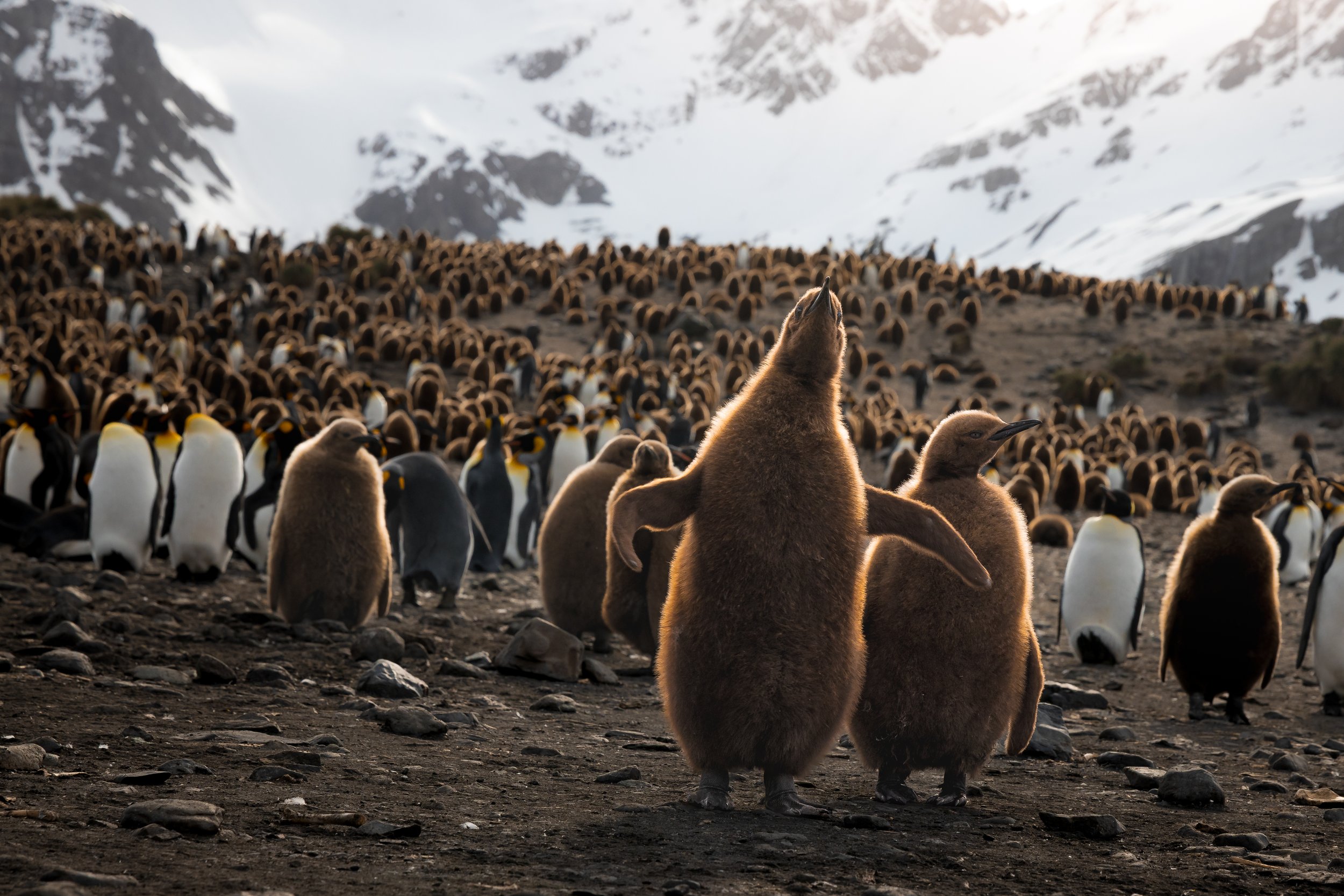 Nat Geo expedition-28.jpg