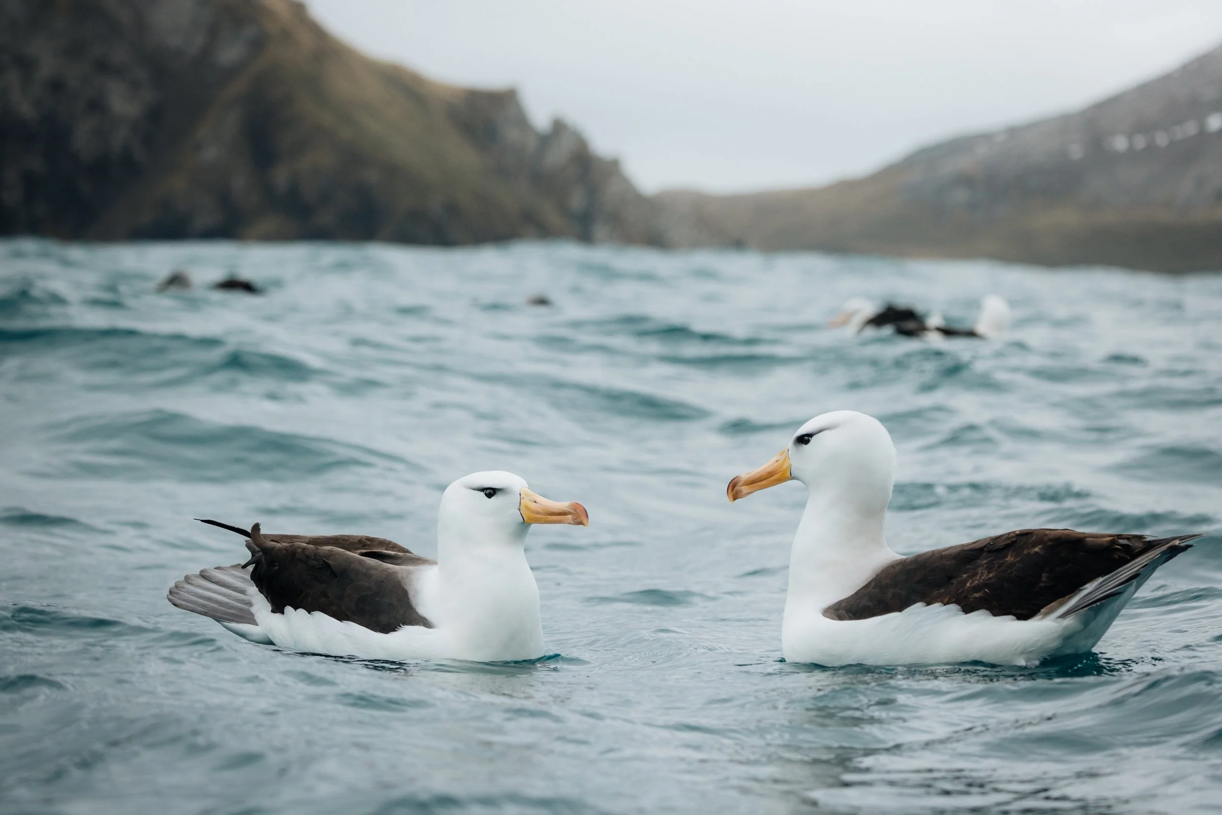 Nat Geo expedition-7.jpg