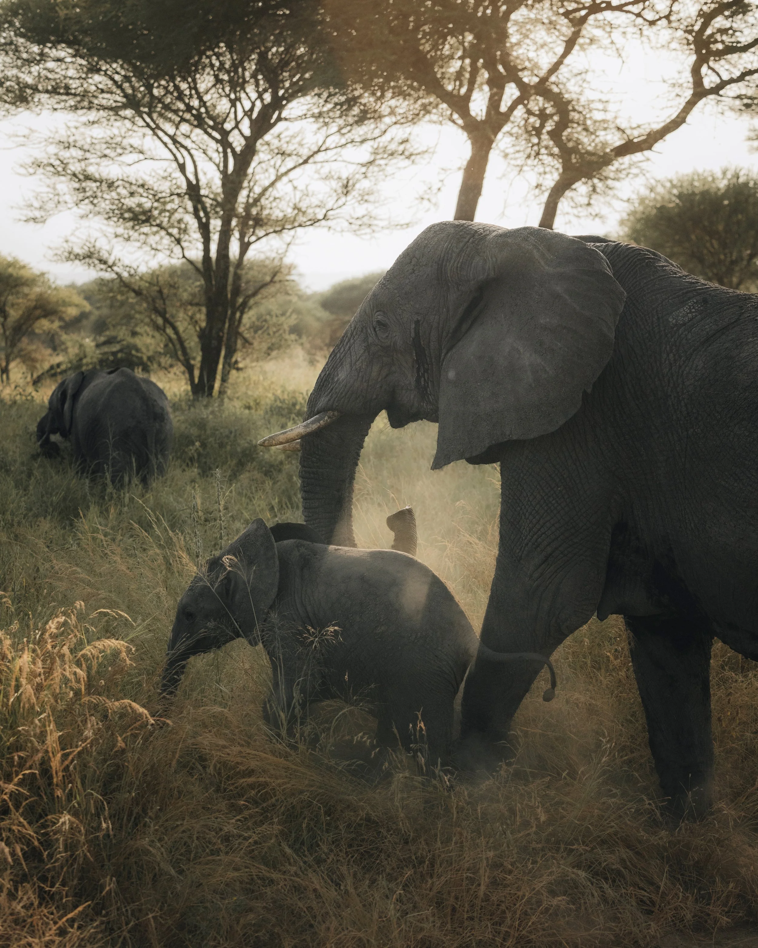 Tanzania 26-50.jpg