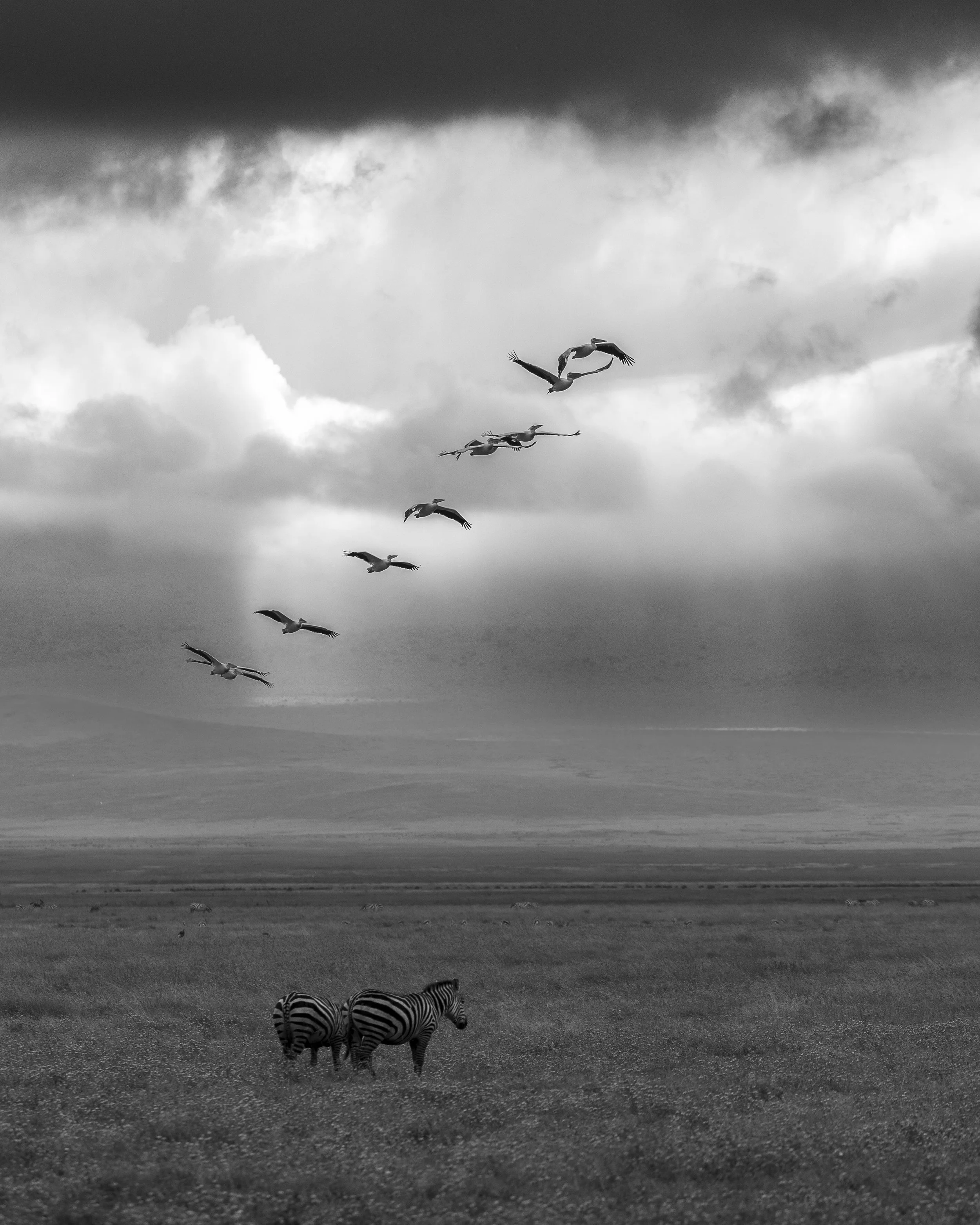 Tanzania 26-117.jpg