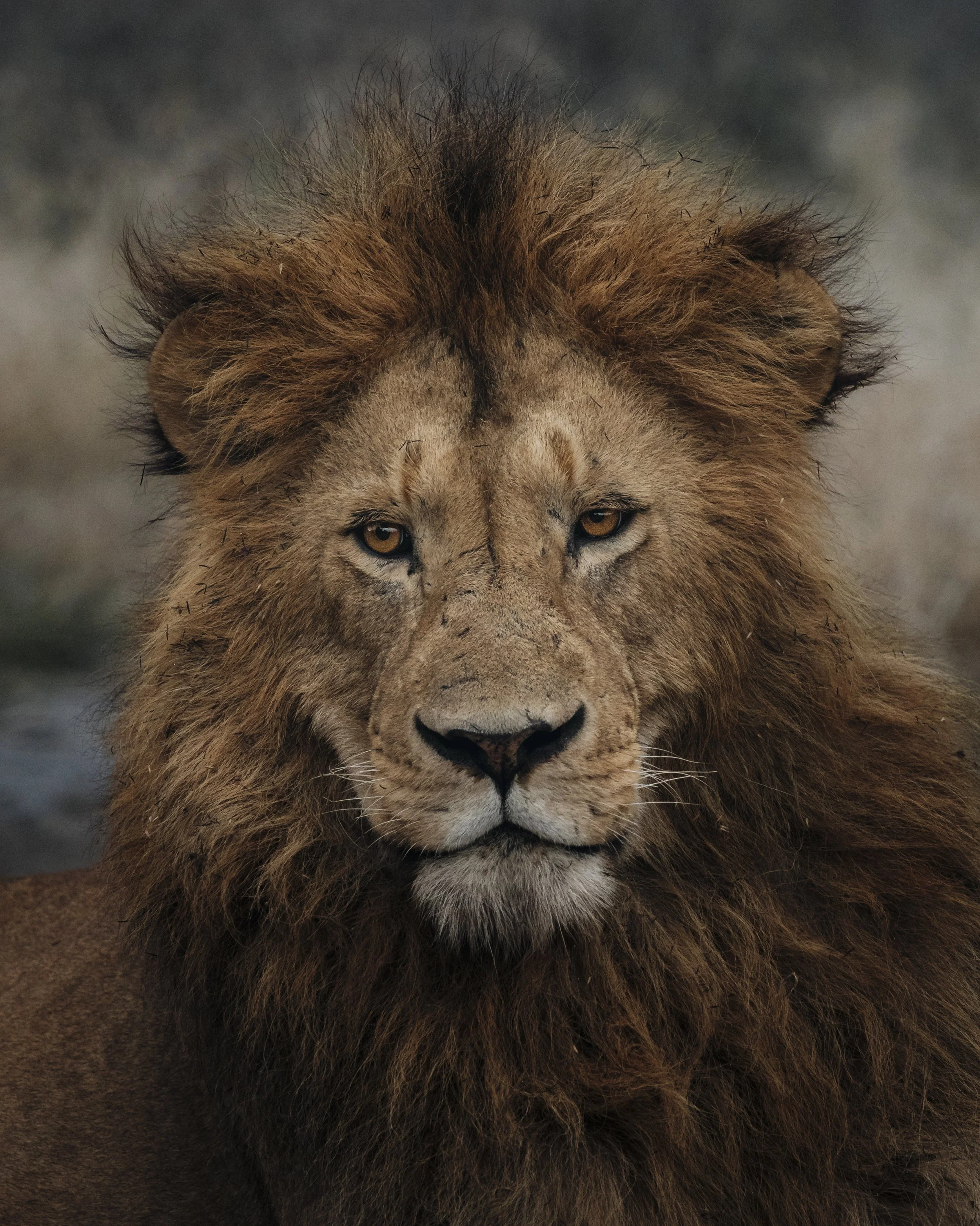 Tanzania 26-109.jpg