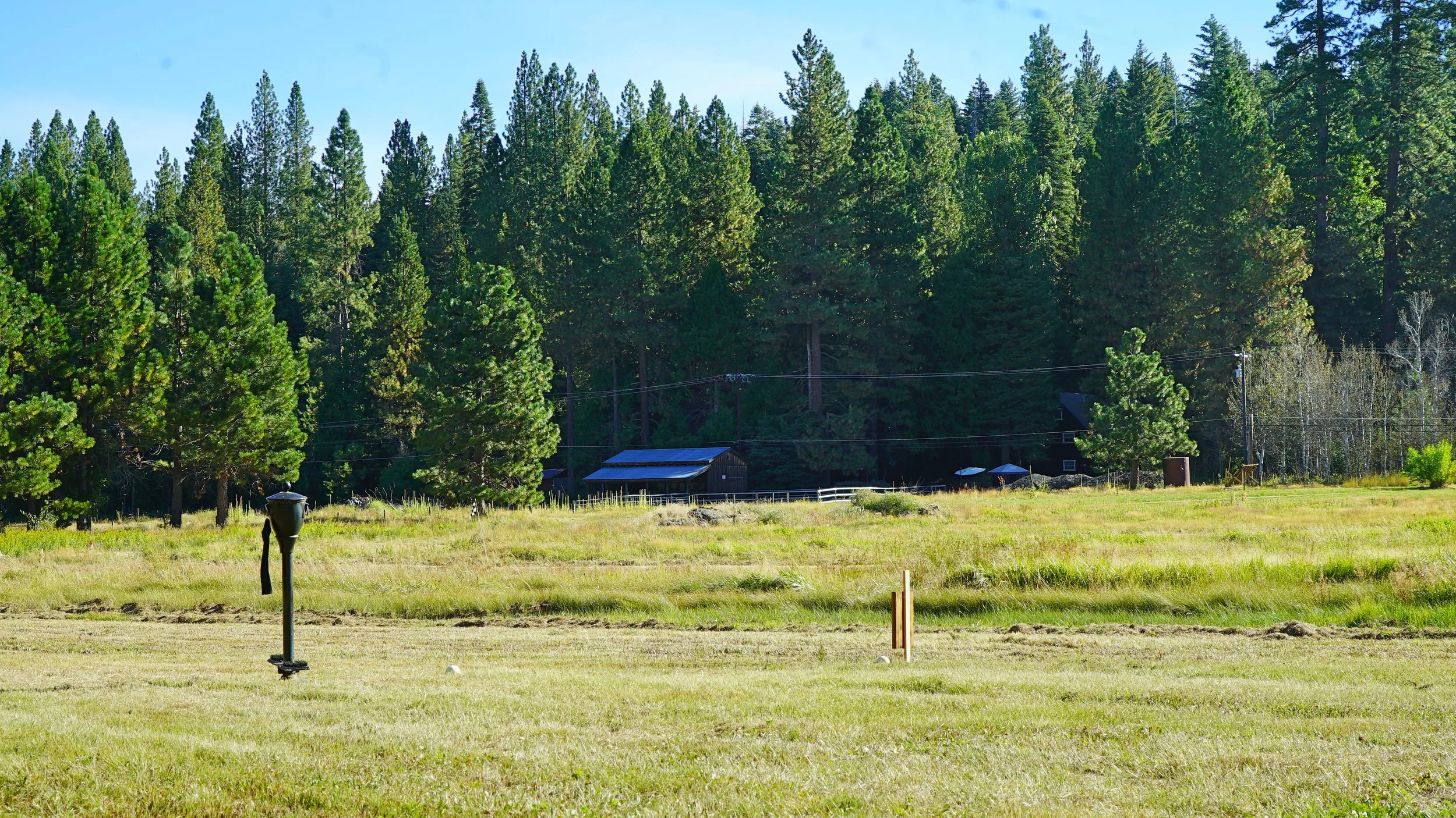 DSC08283.jpg