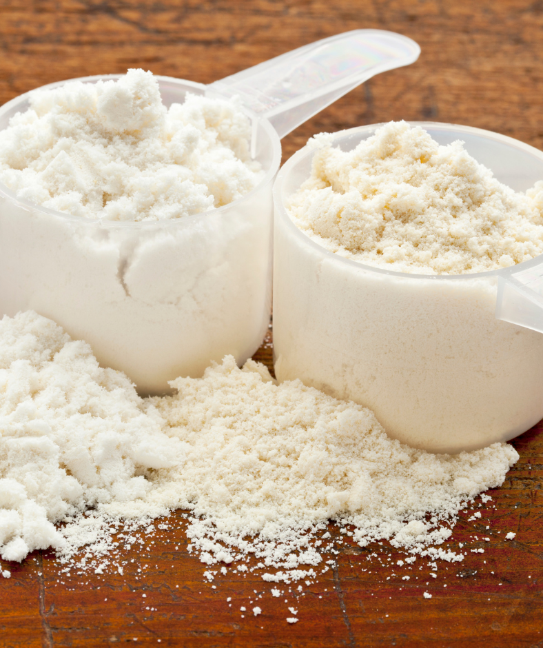 Whey vs. Plant Protein: Which is best for YOU?