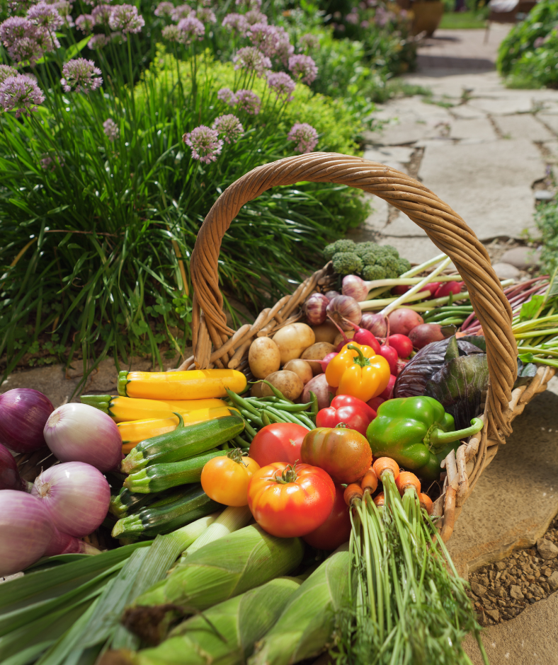 5 Ways Gardens Support Your Health