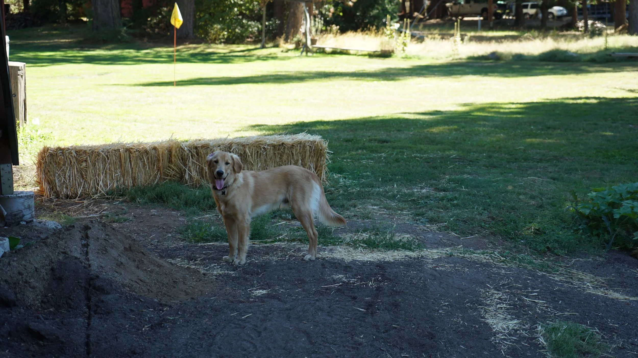 DSC08861.JPG