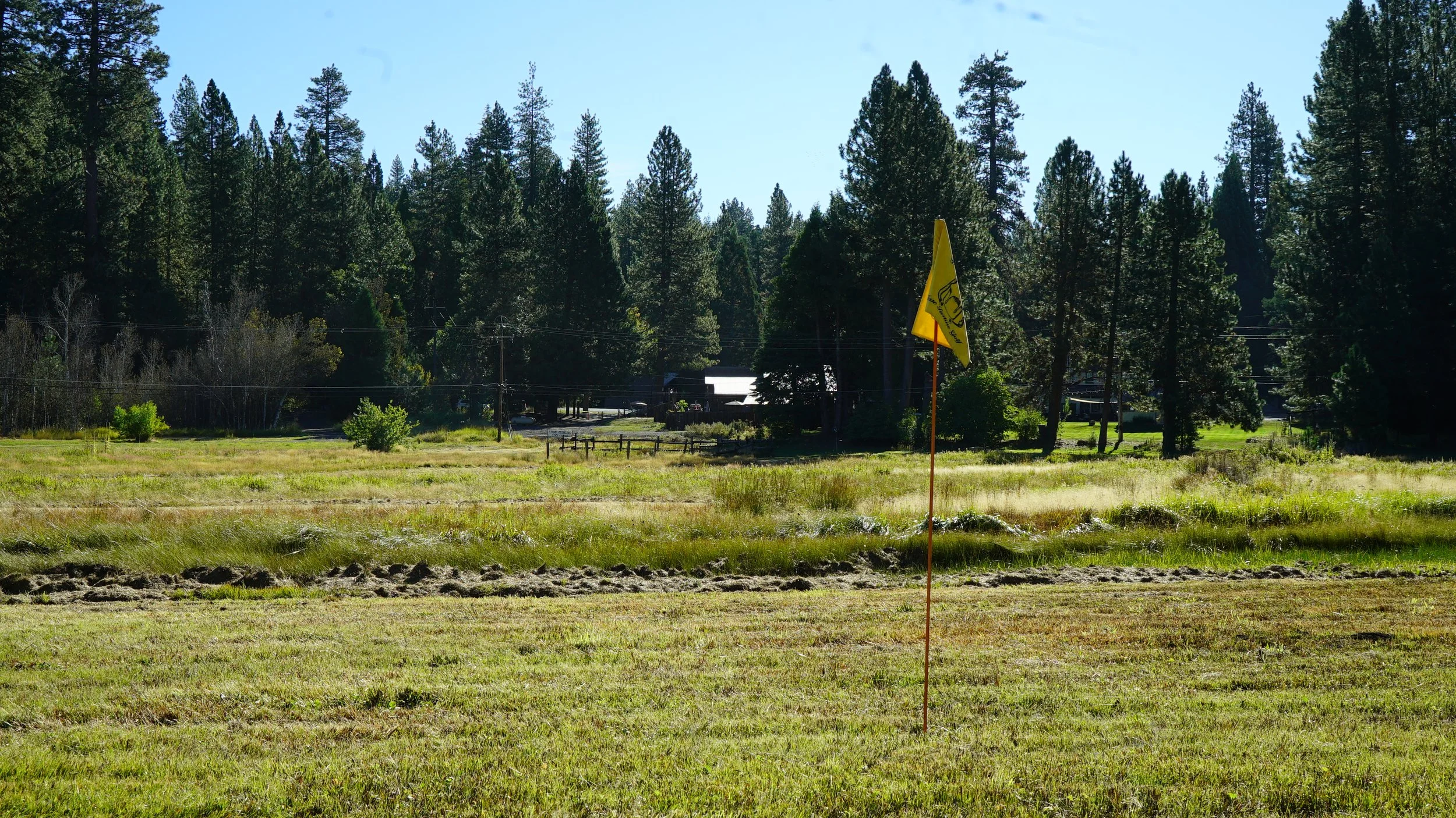 DSC08282.JPG