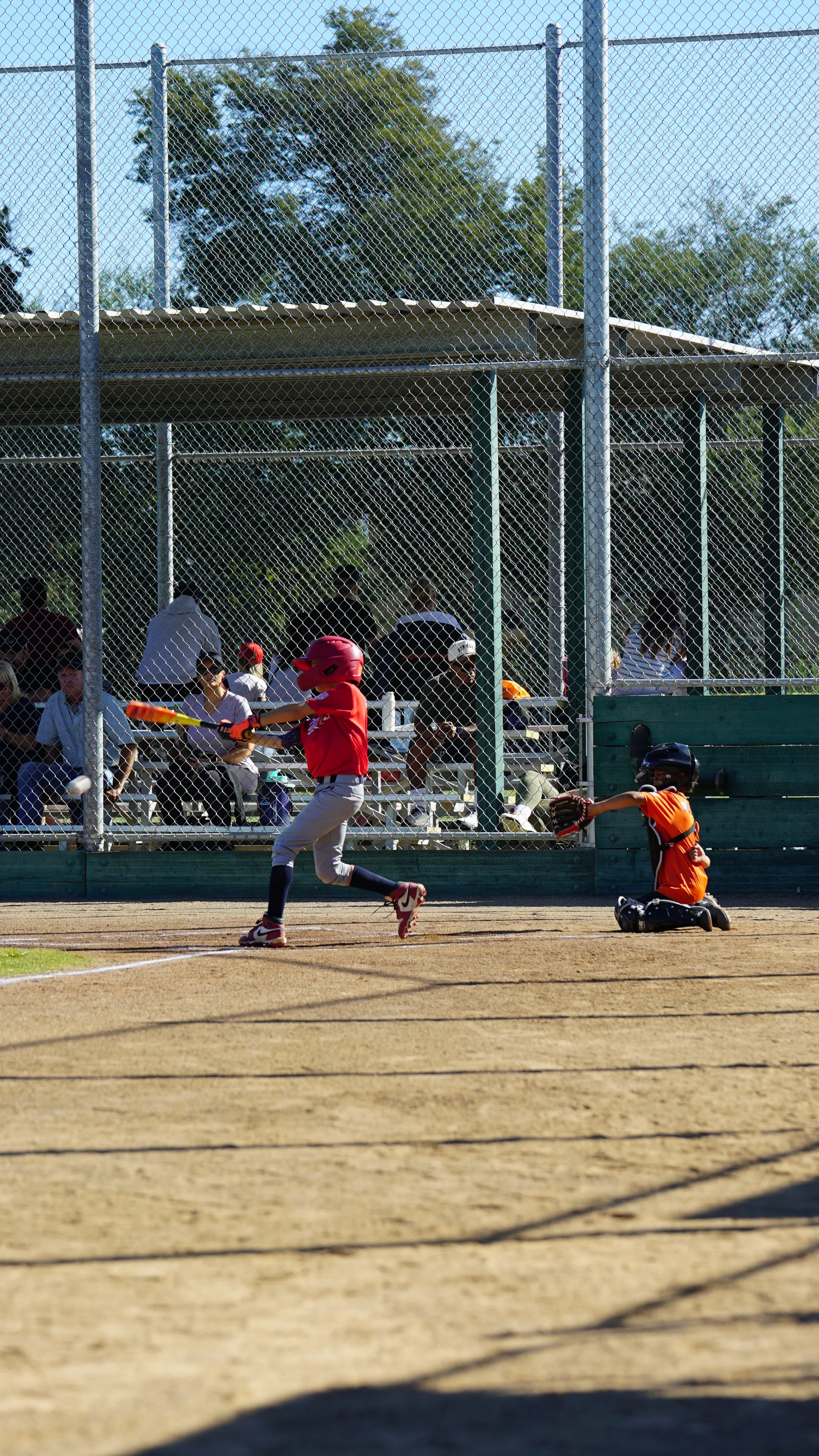 DSC07434.JPG