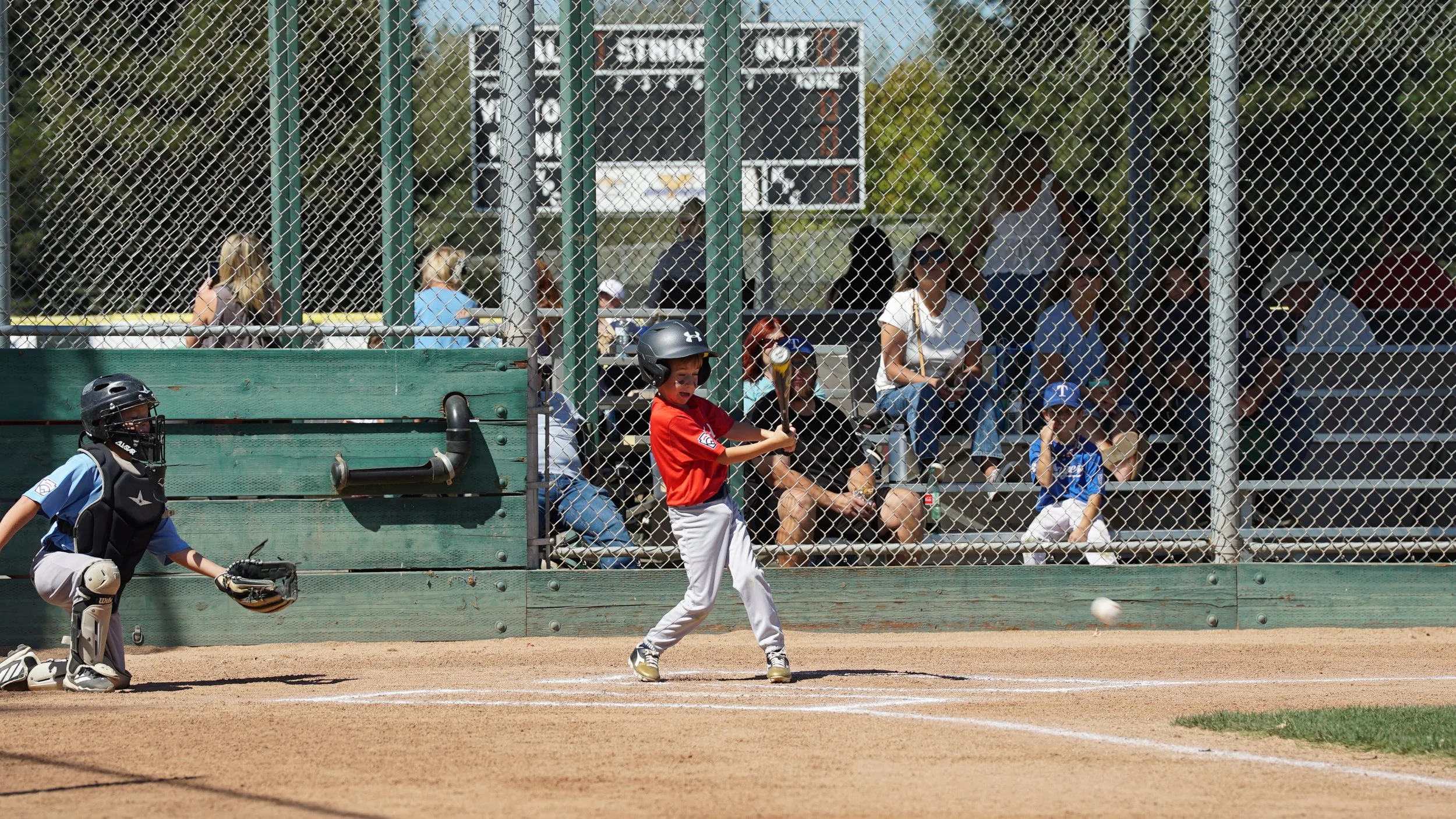 DSC08932.JPG