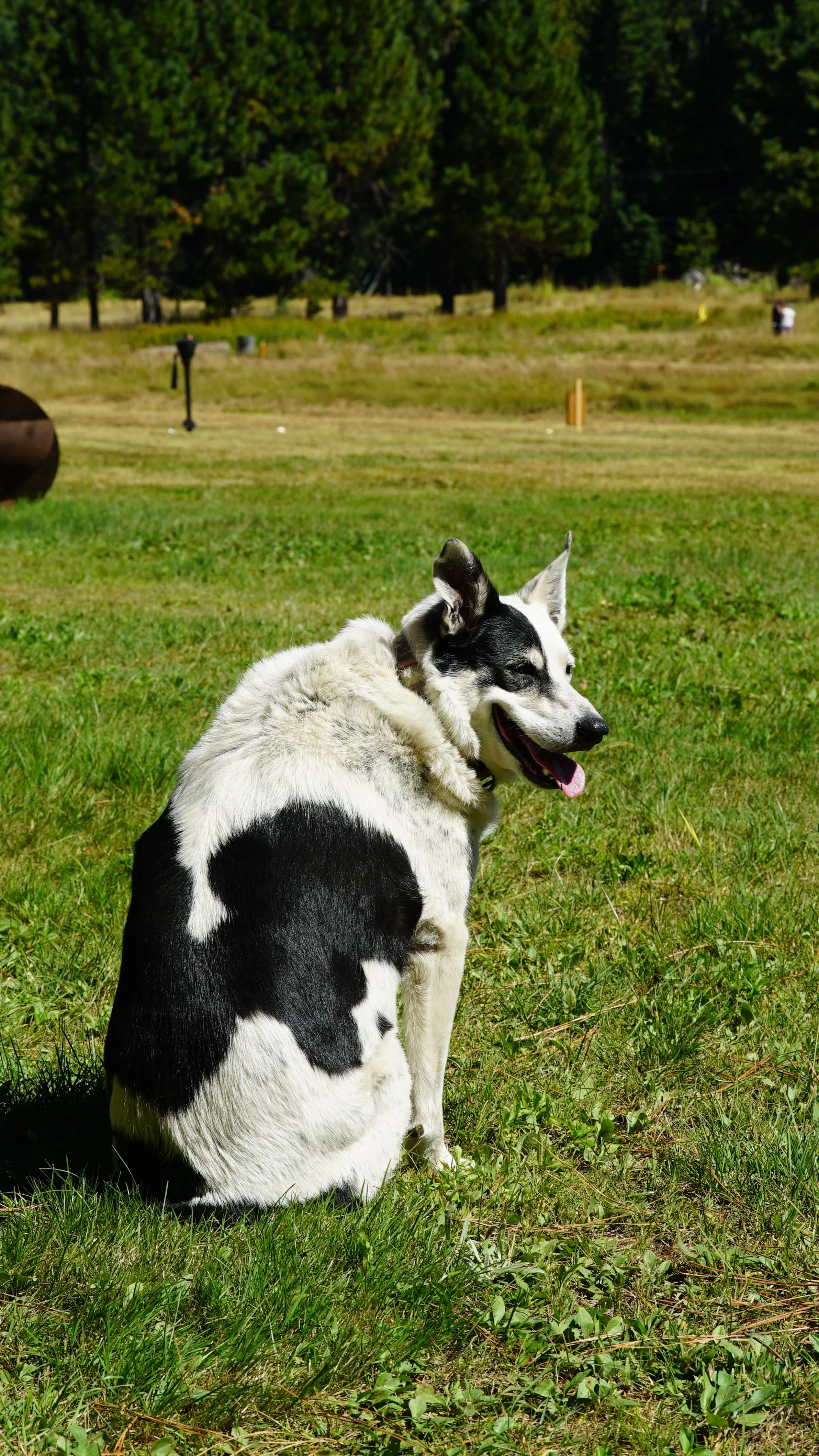 DSC08371.JPG