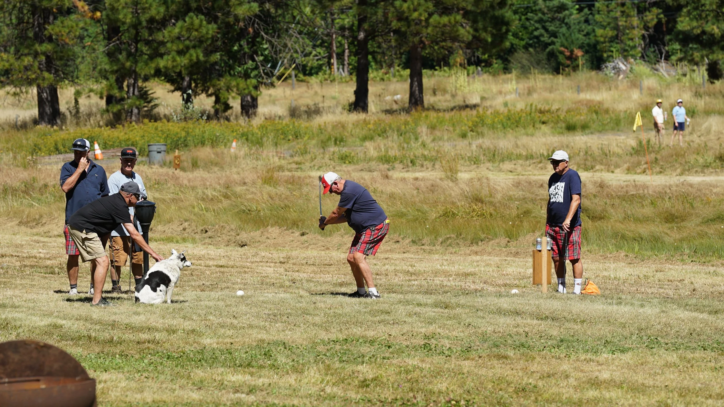 DSC08675.JPG