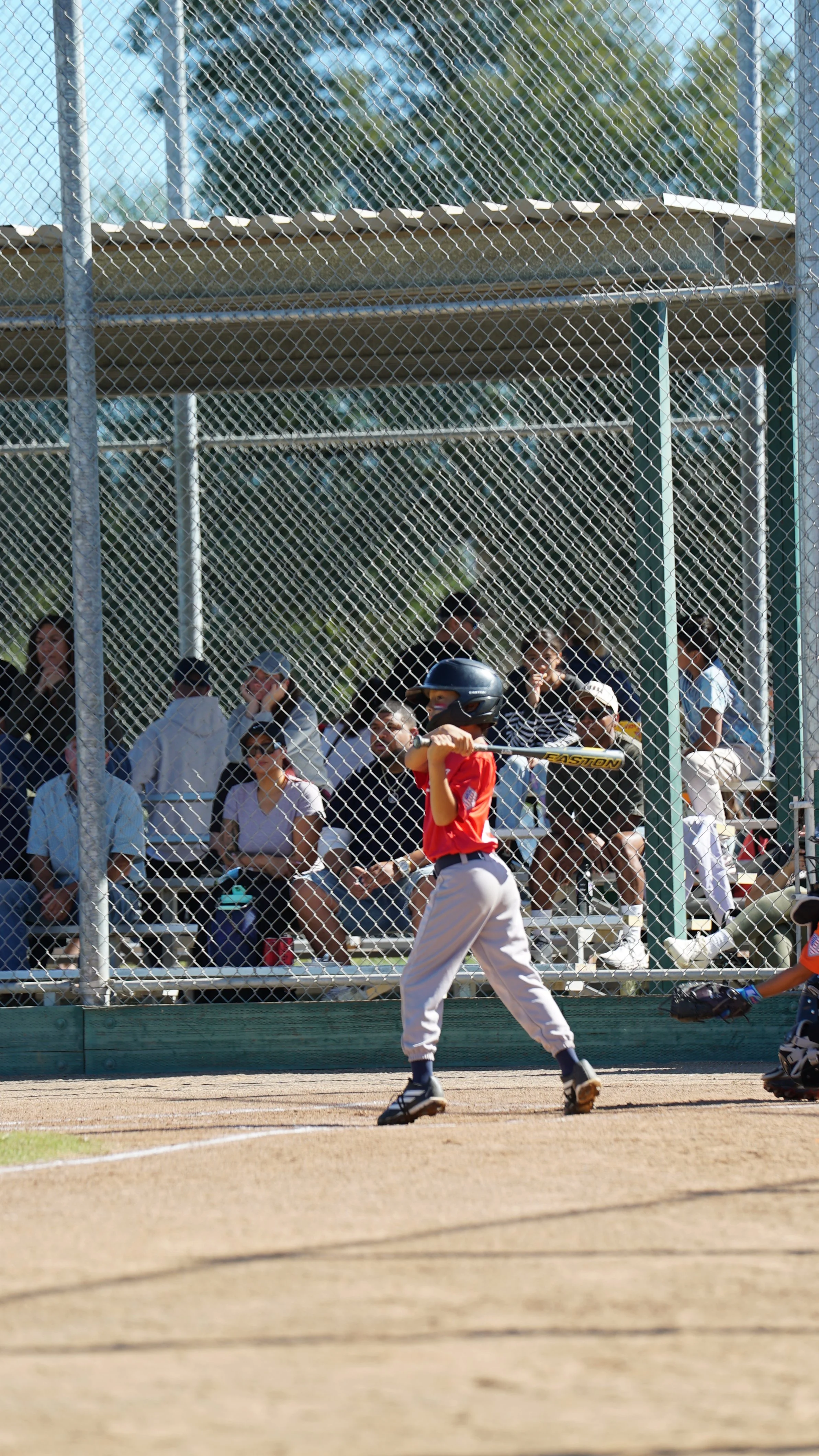 DSC07633.JPG
