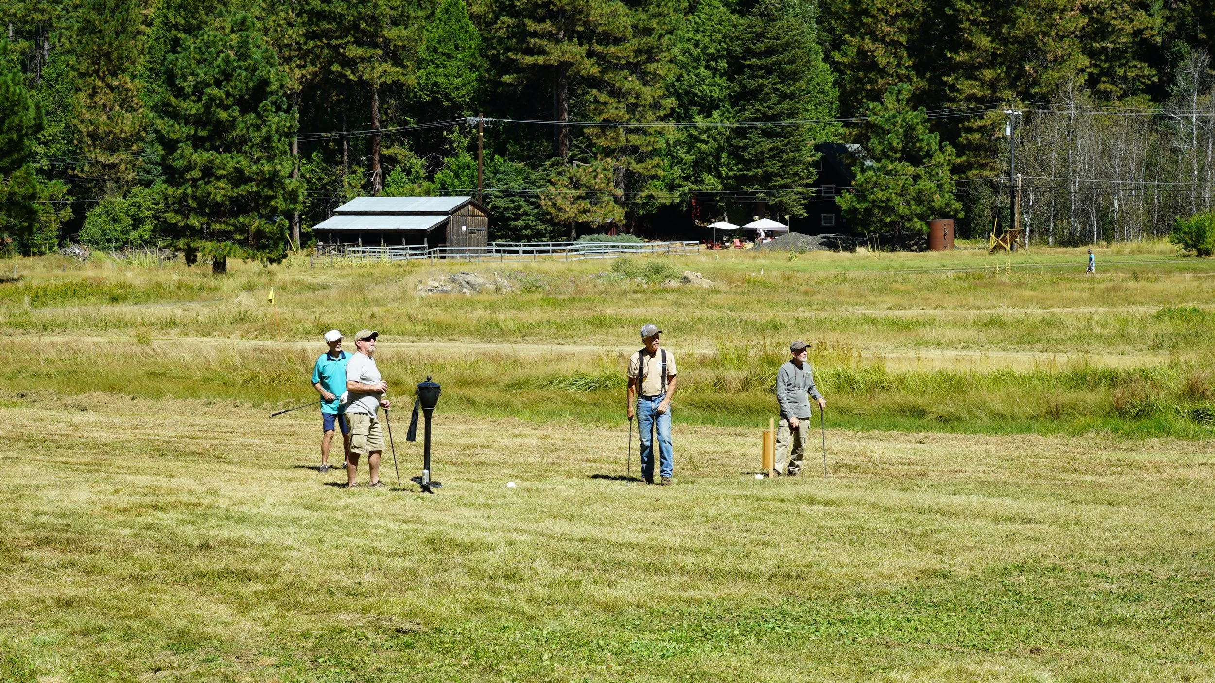 DSC08737.JPG