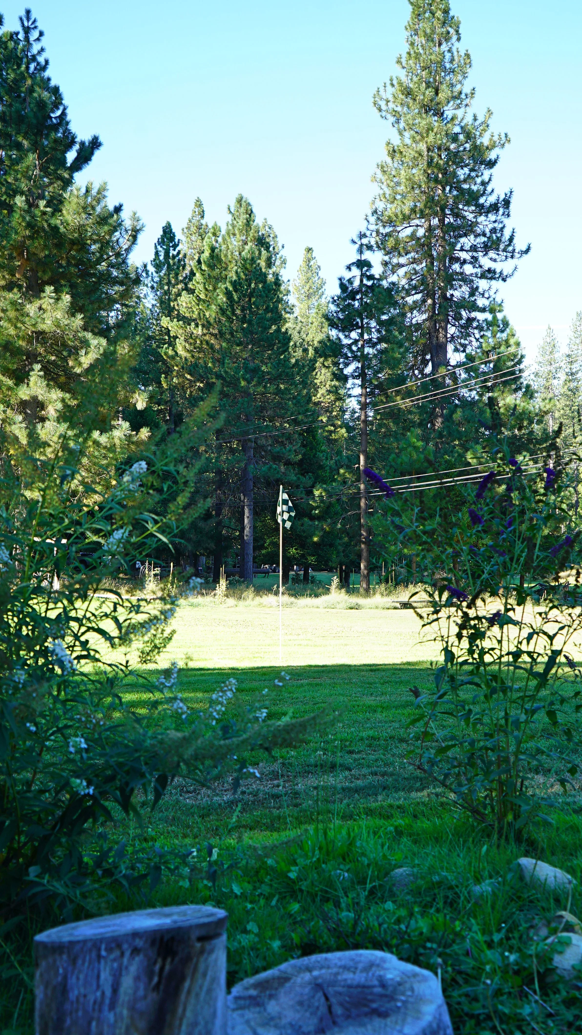 DSC08269.jpg