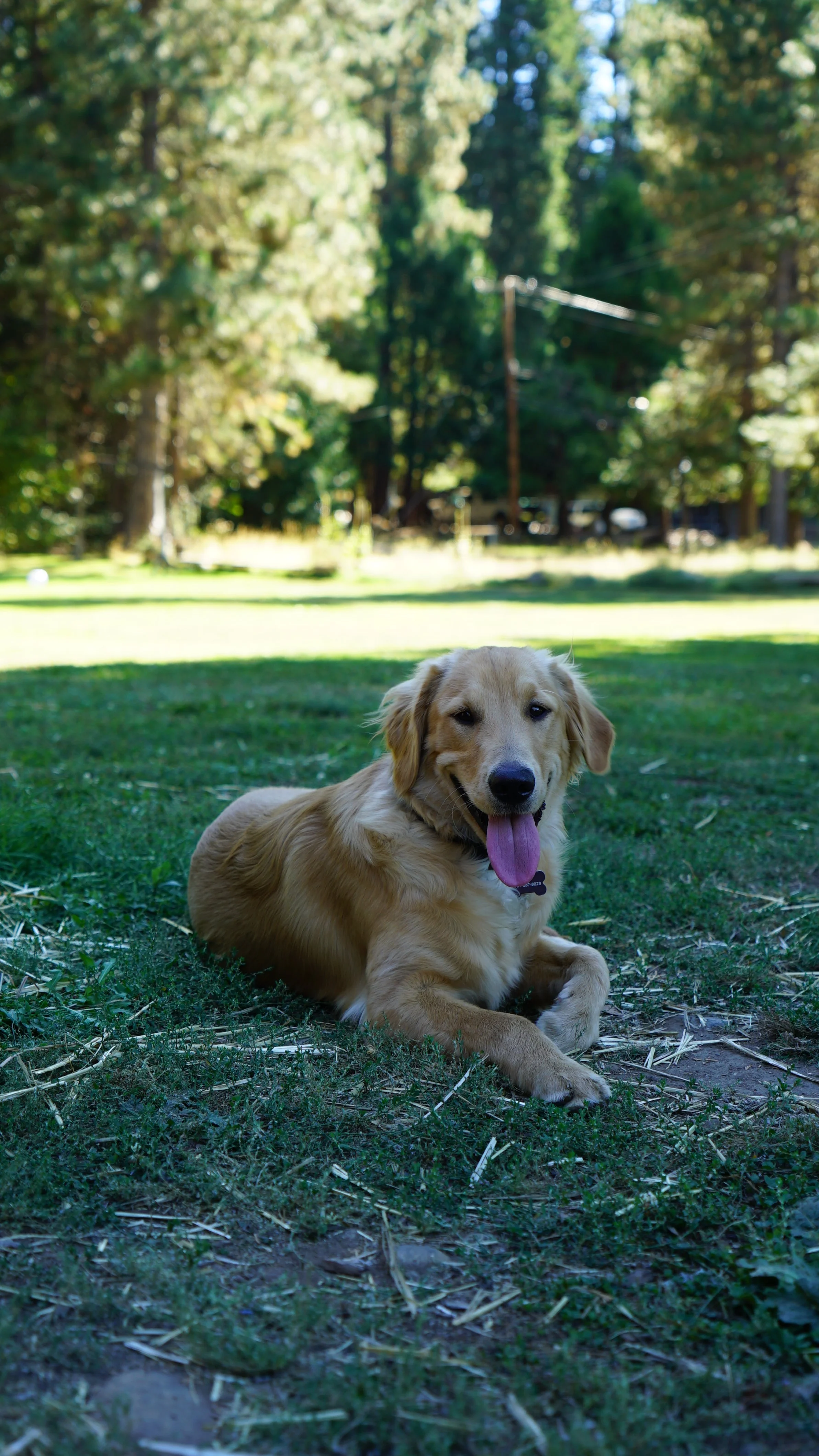 DSC08863.JPG