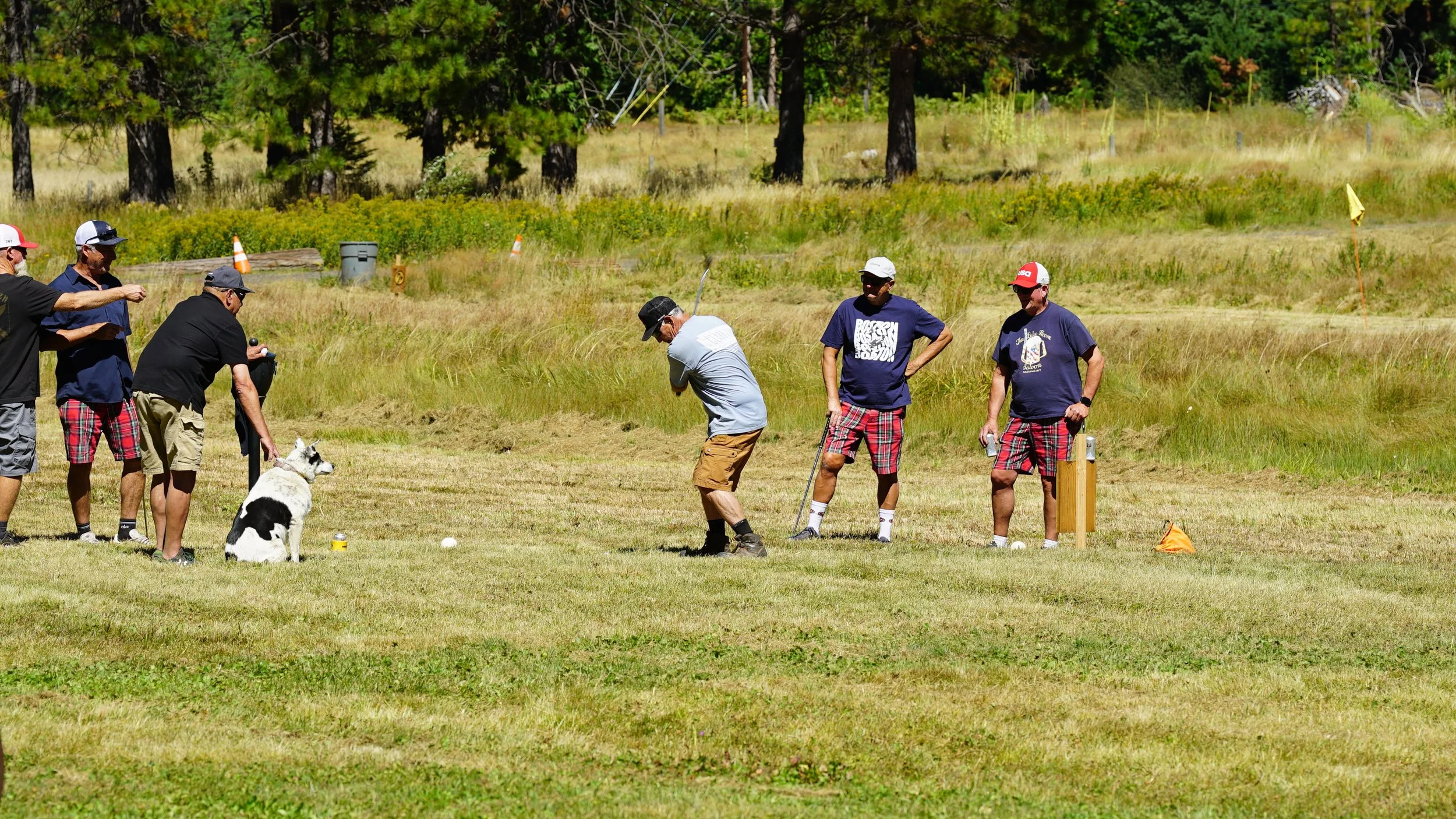 DSC08683.JPG