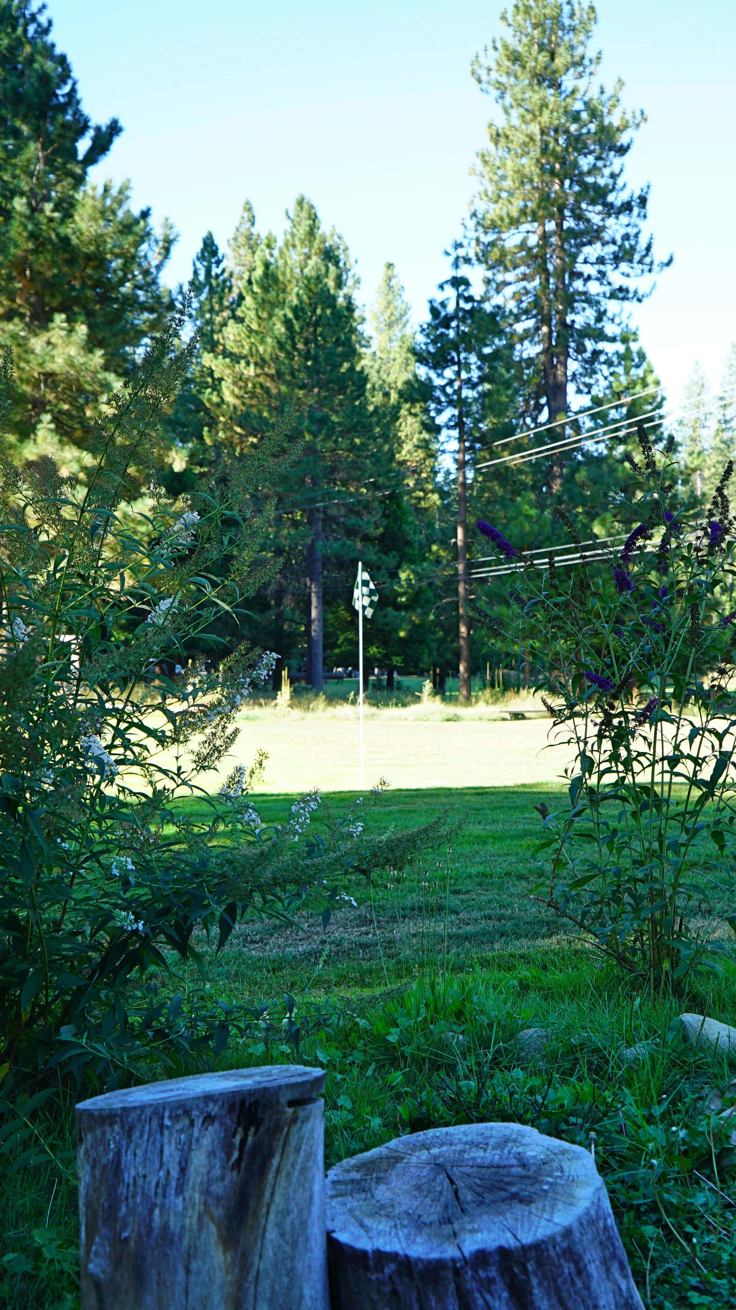DSC08272.jpg