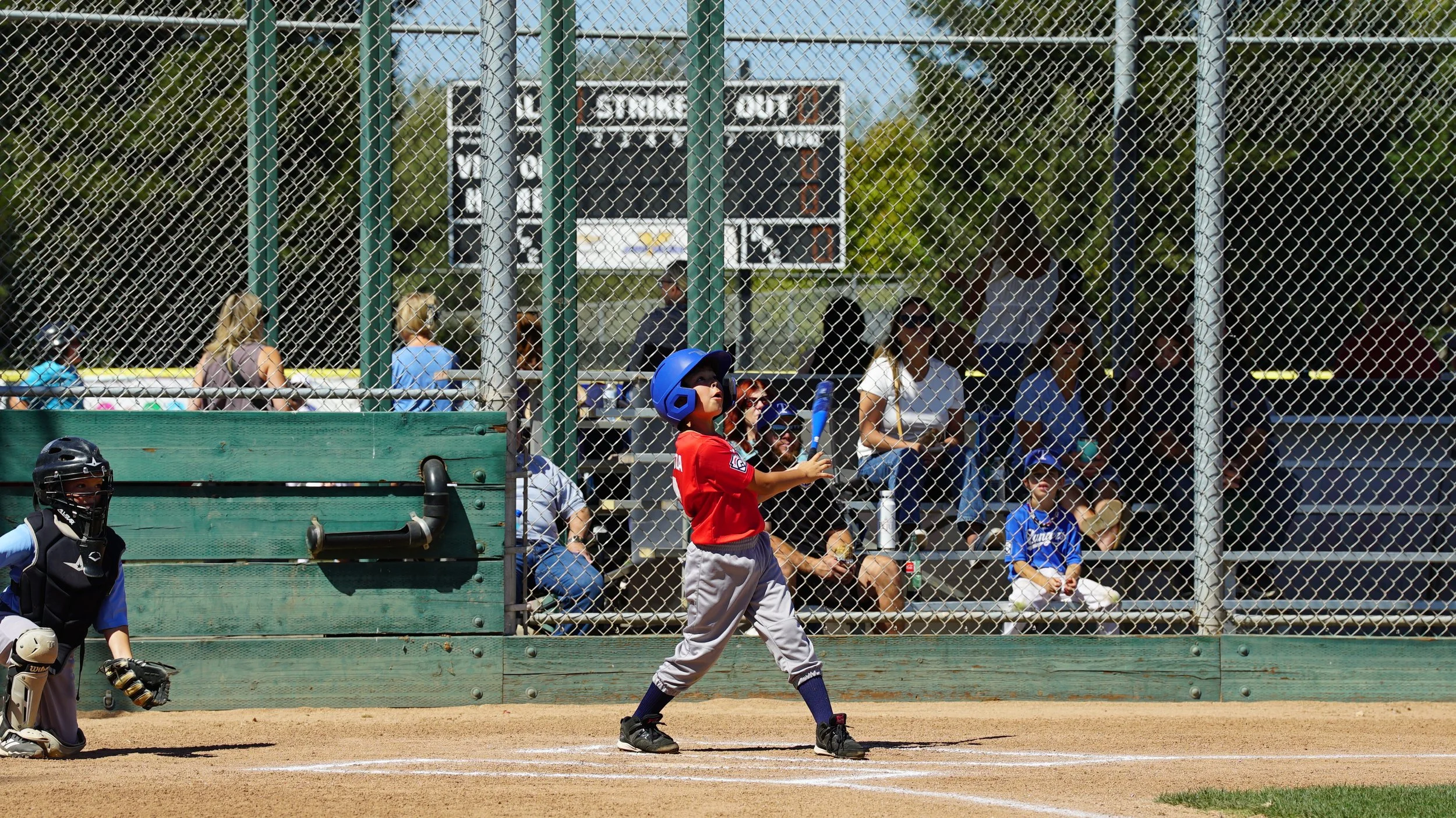 DSC08912.JPG