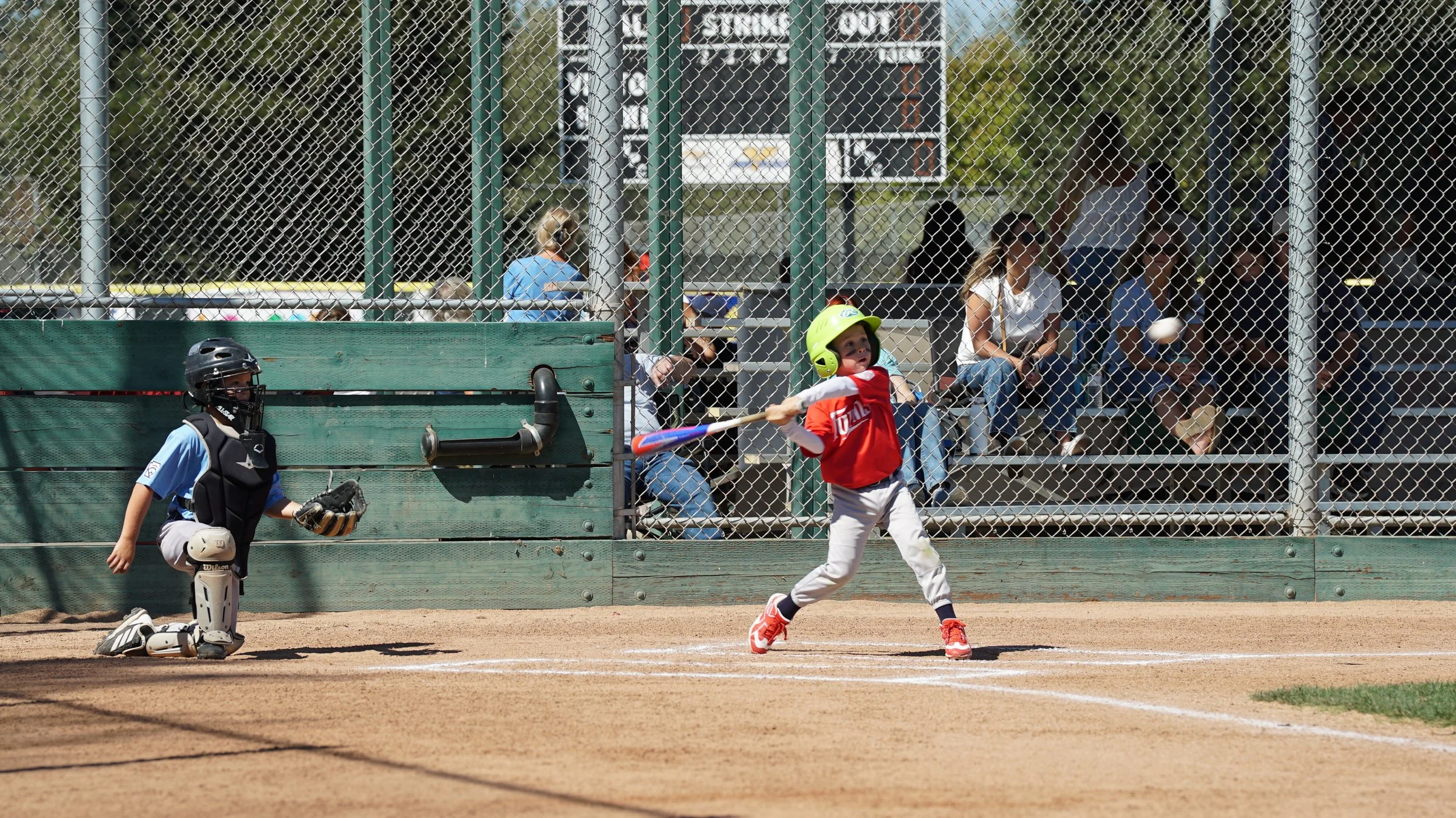 DSC08953.JPG