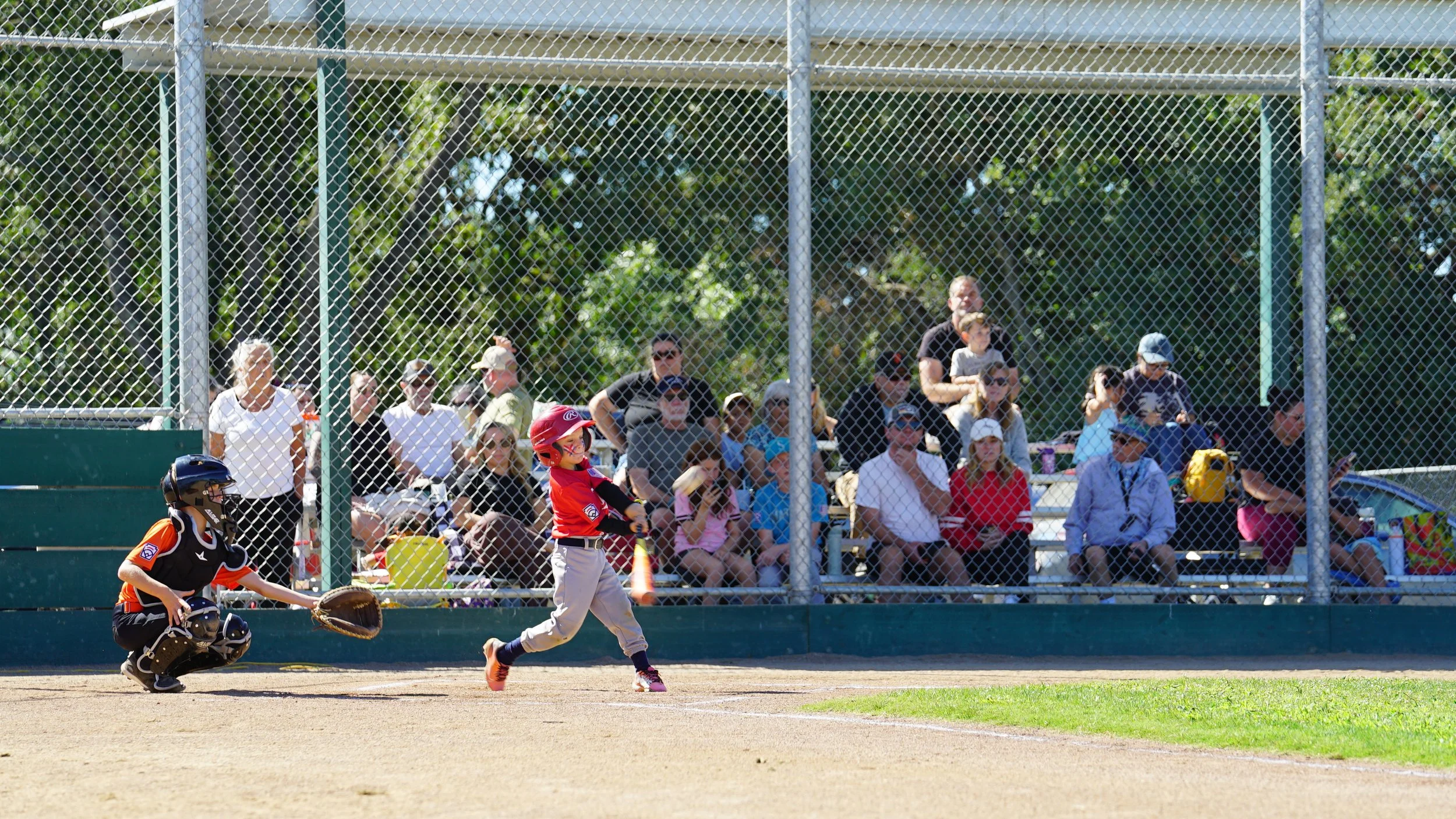 DSC07710.JPG