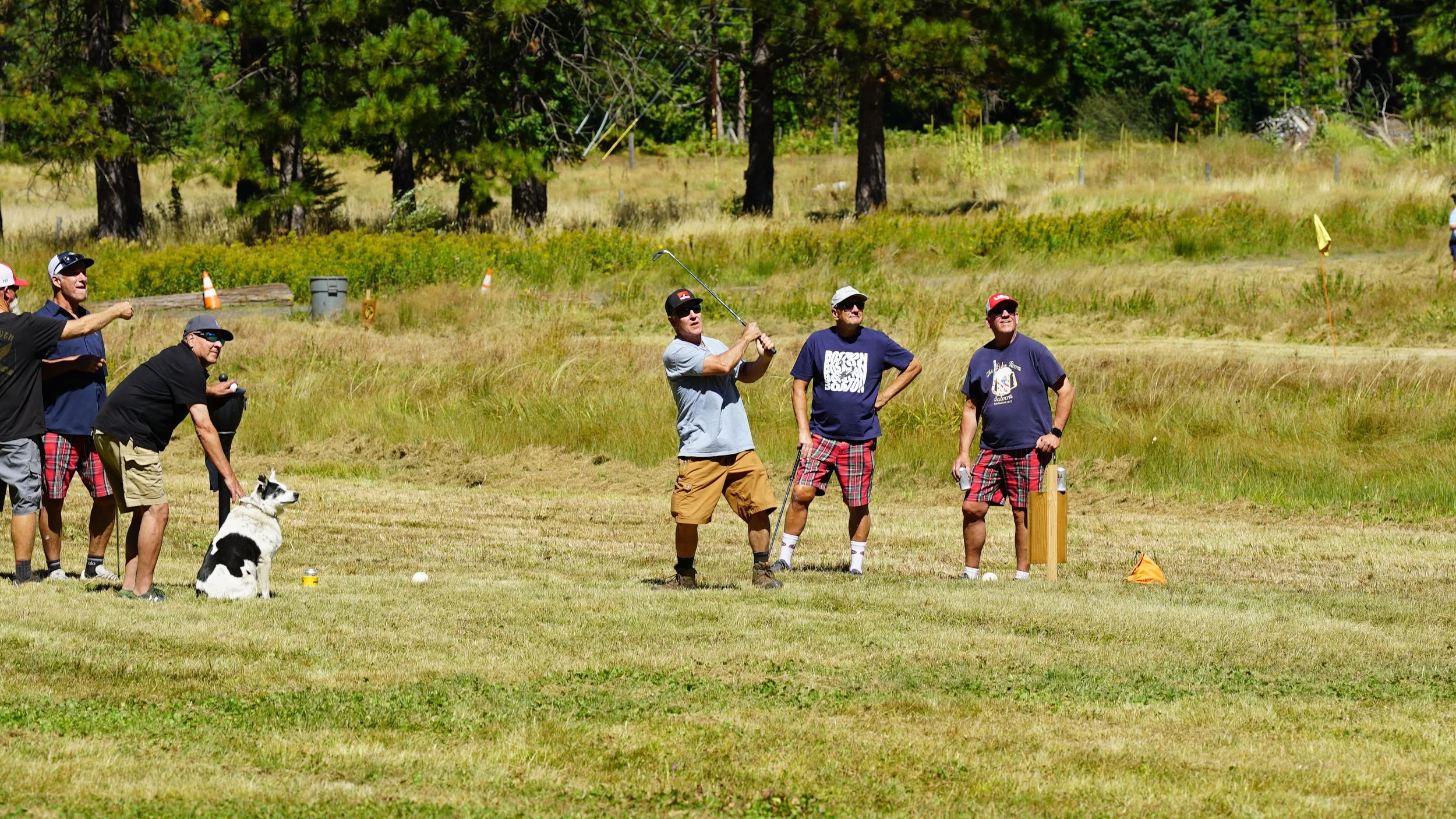DSC08687.JPG