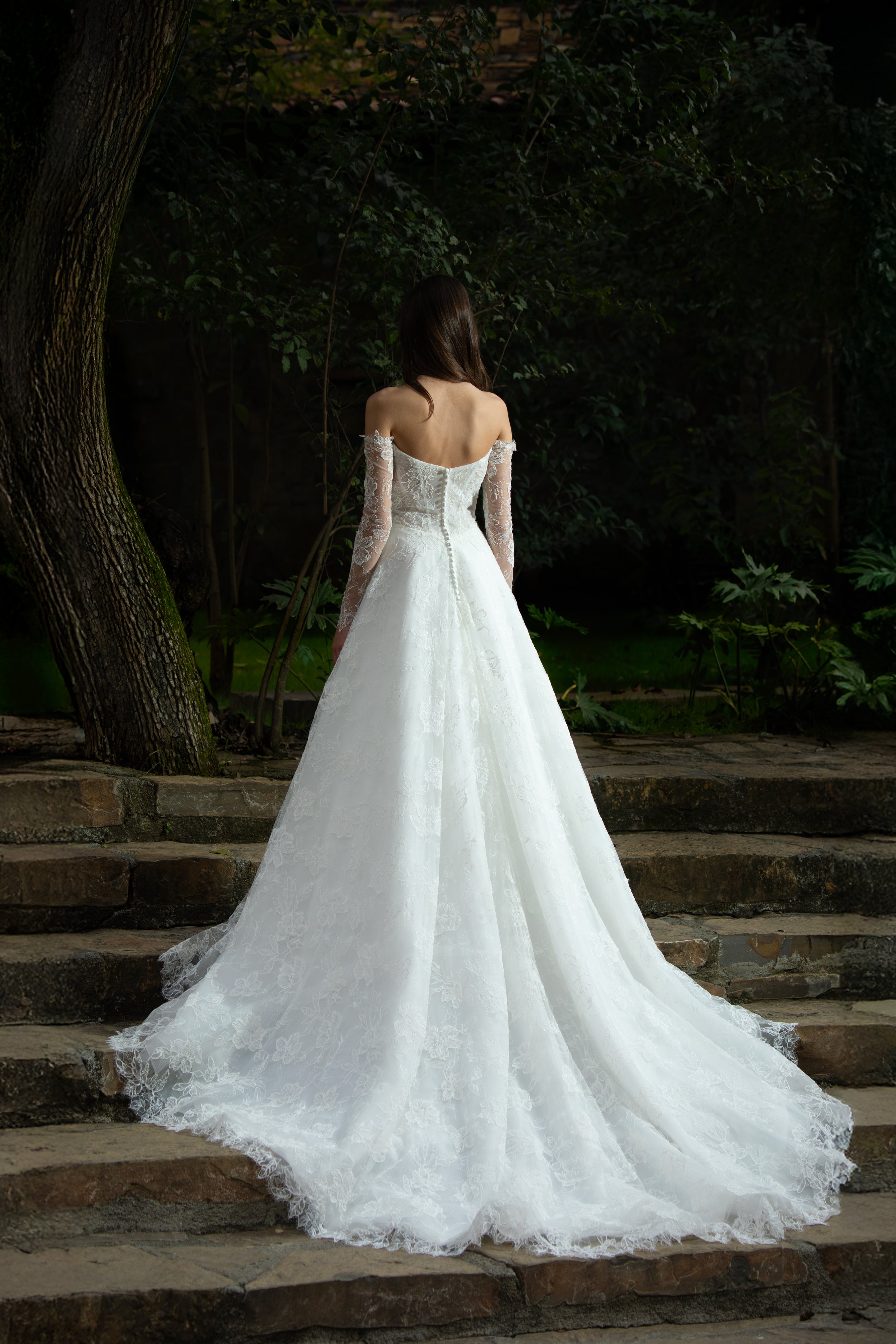 Levina back 1.jpg