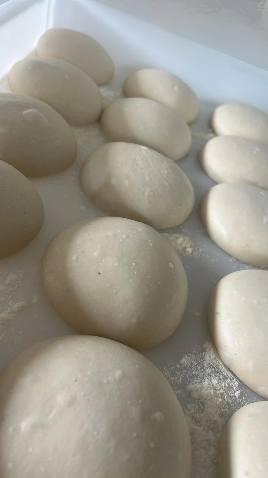 WhatsApp Image 2025-09-18 at 01.03.27 (5).jpeg