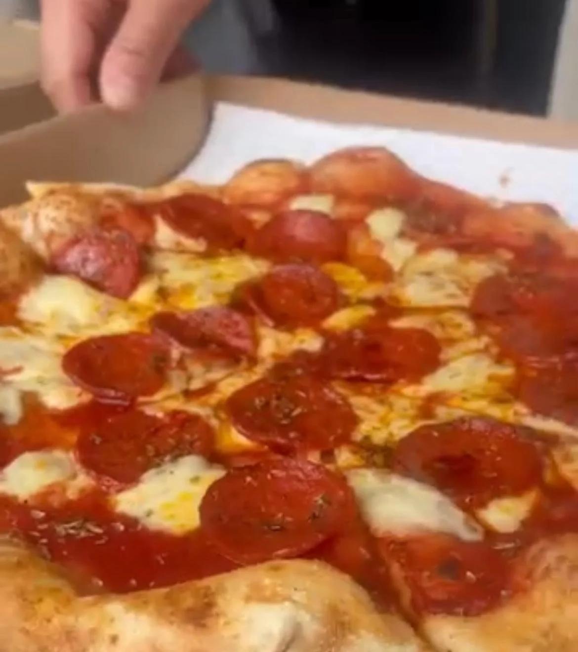 WhatsApp Image 2025-09-18 at 01.03.27.jpeg