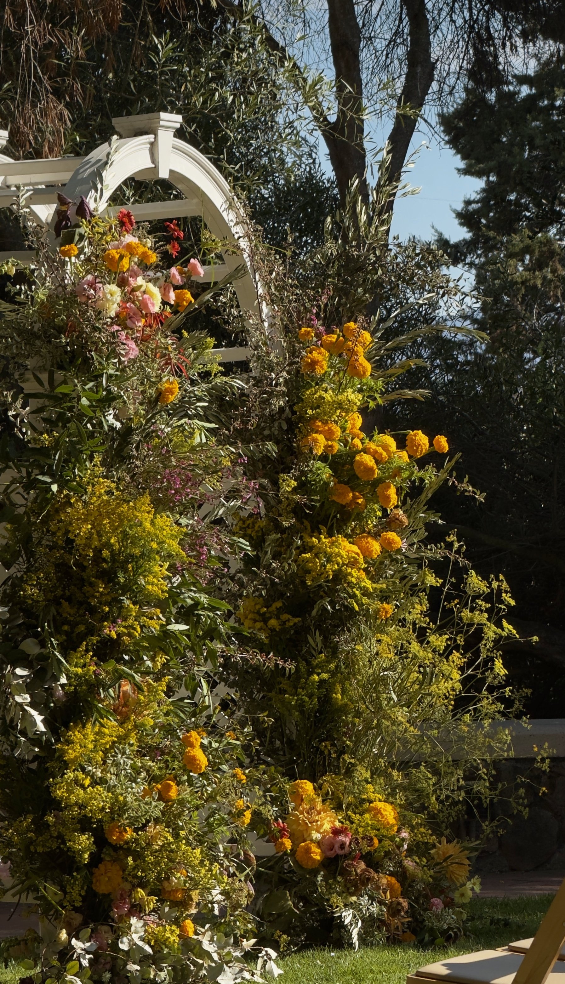 8F0FB0F8-657D-40F8-A140-627654FCA06B 2.jpg