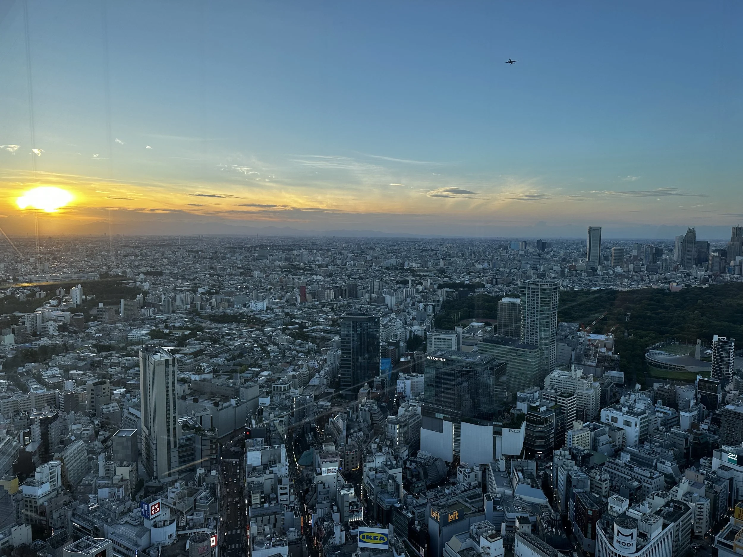 IMG_4167.jpeg