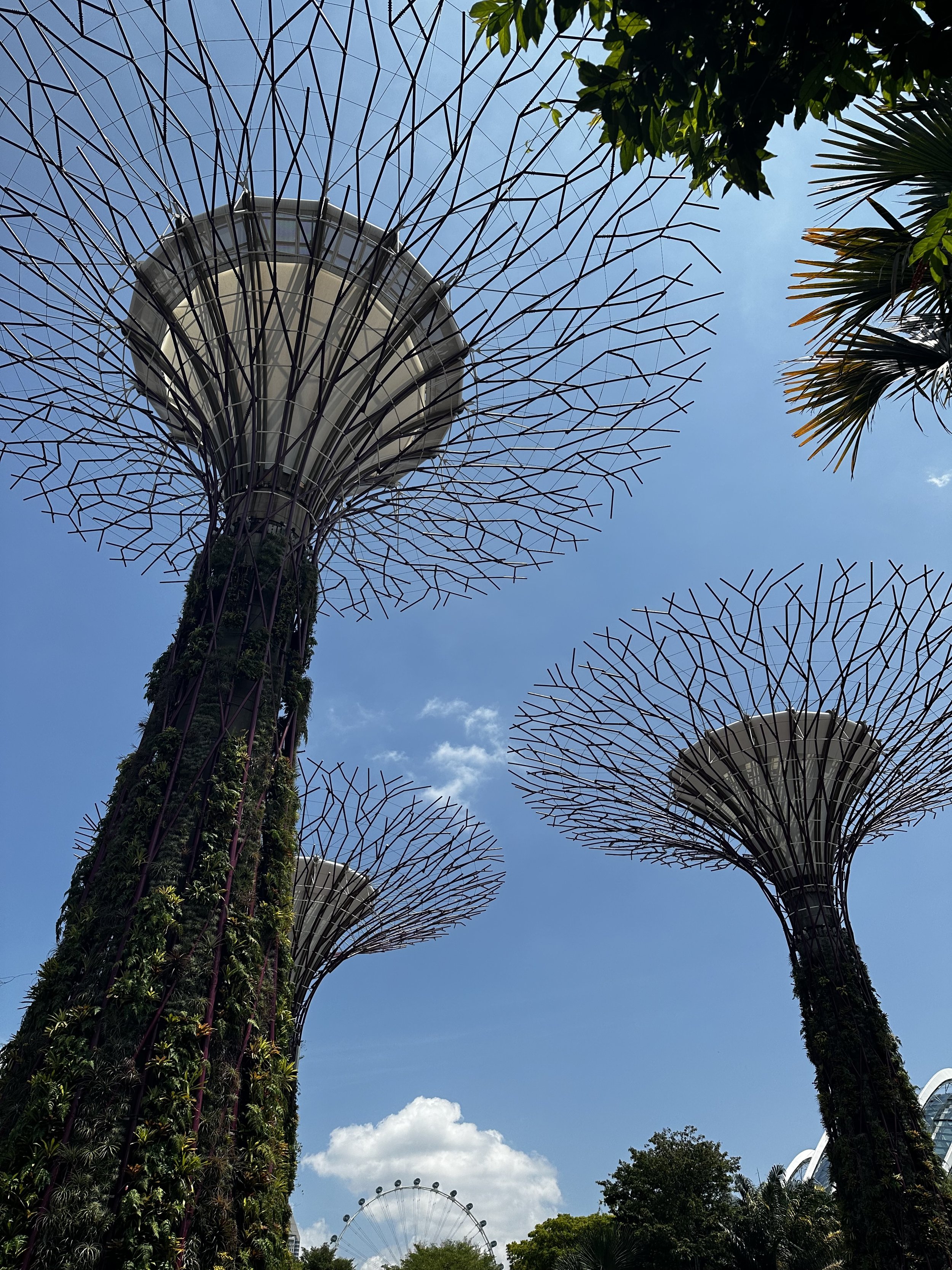 Gardens by the Bay, Singapore