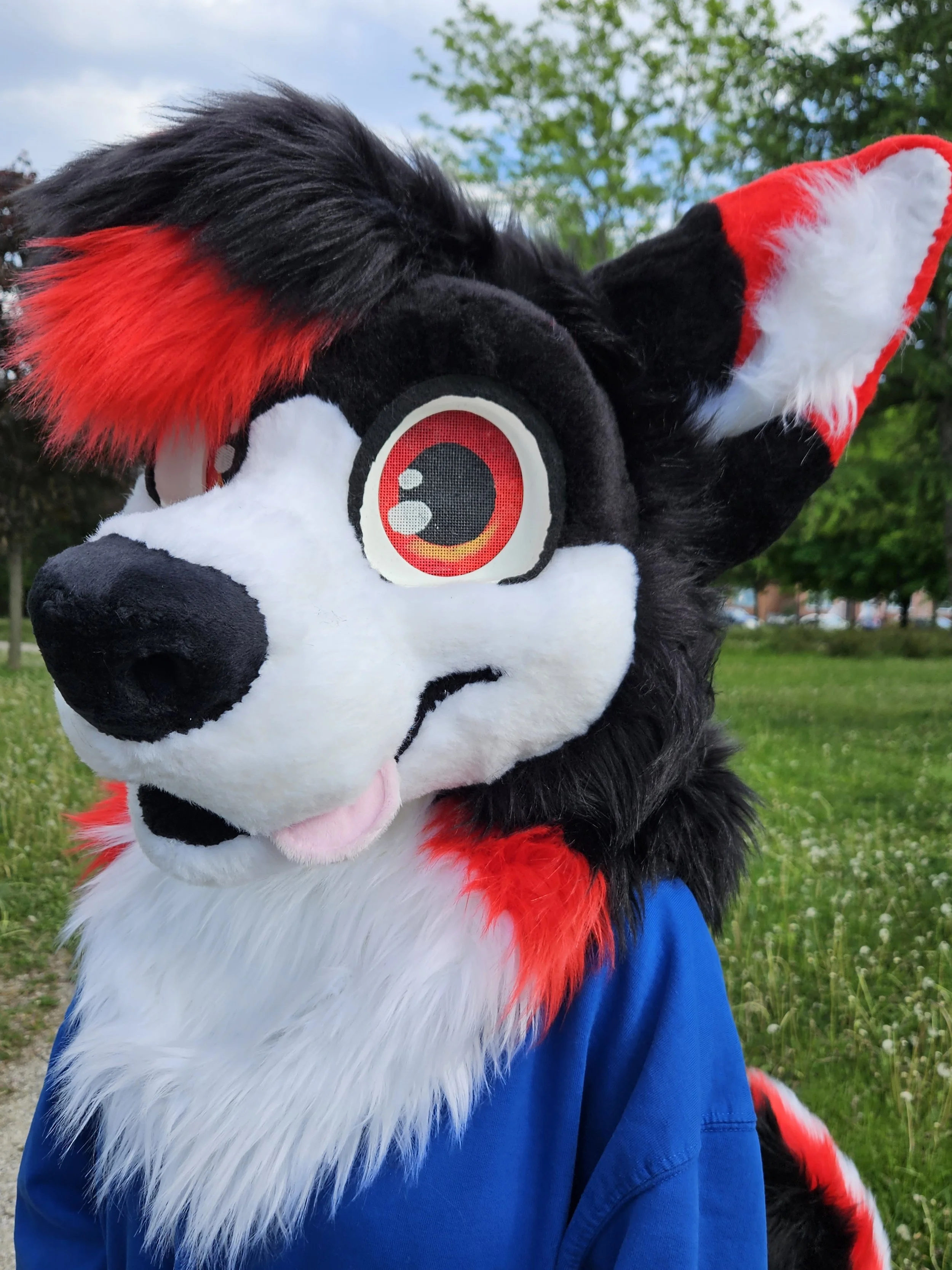 seraphin the husky