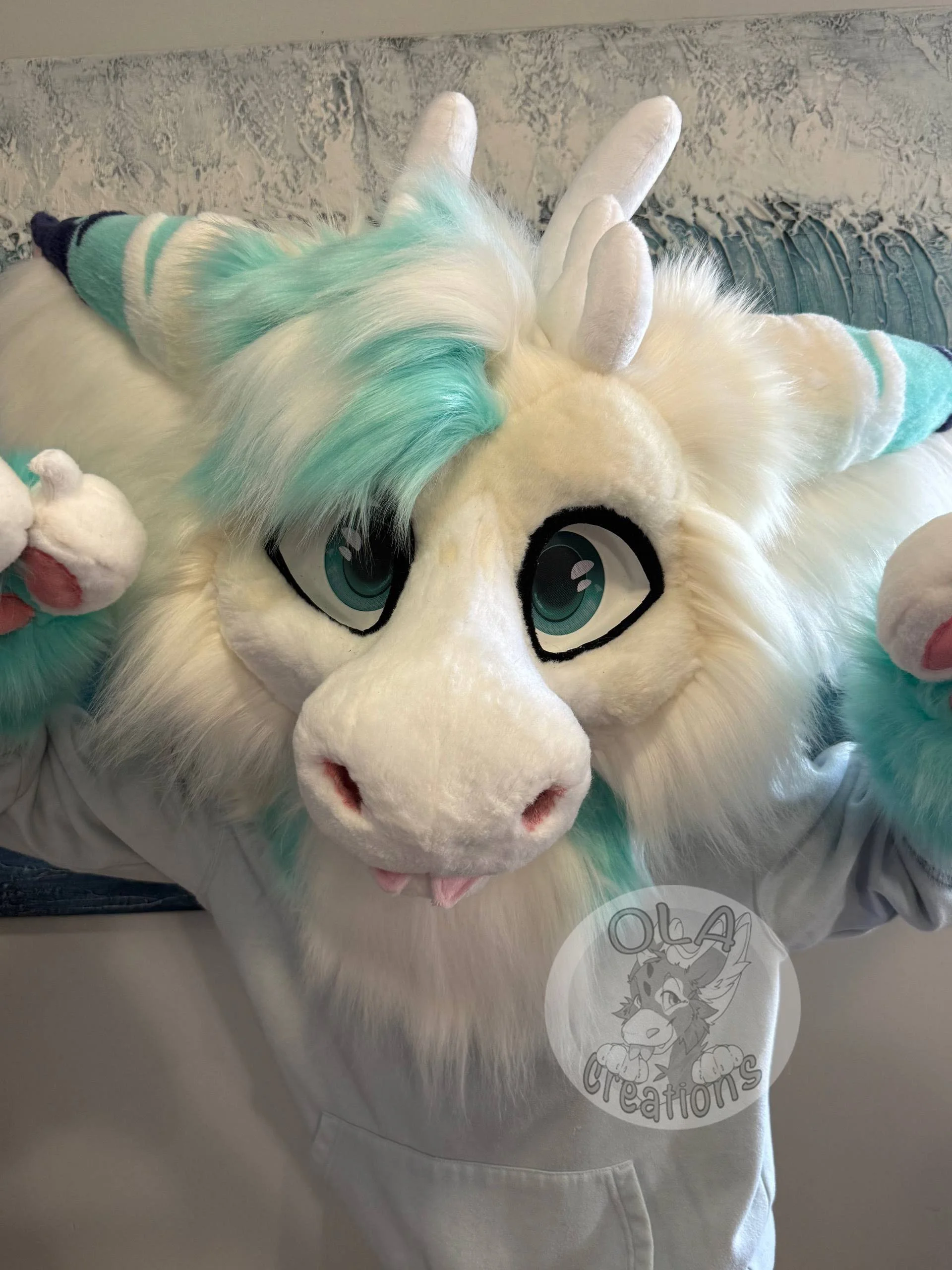 Reef the dutch angel dragon