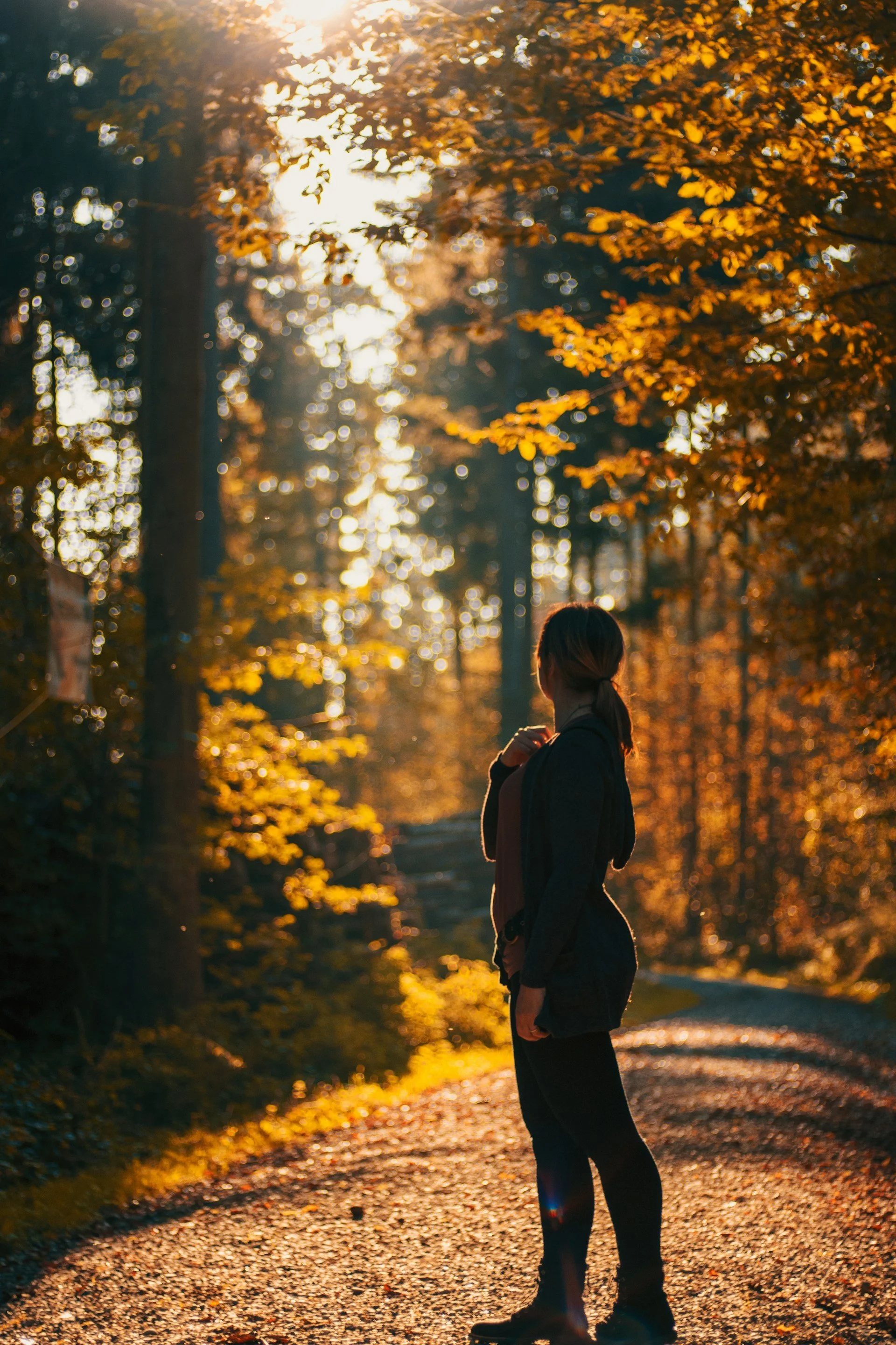 A person walking down a forest path in soft morning light, suggesting movement toward what comes next.