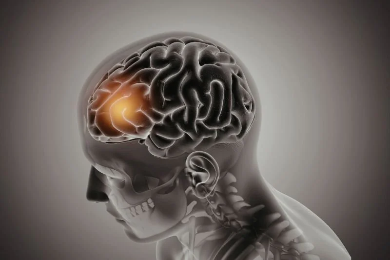Cómo aplicar la neurociencia al coaching: pasos prácticos